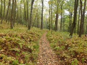 Hike the Mount Mohican-Raccoon Ridge Traverse