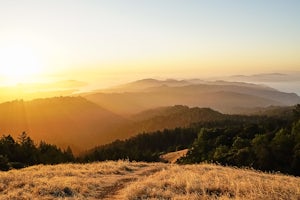 A Sunrise Hike on Mt. Tamalpais 