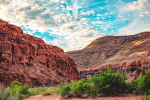 Backpack along the Gunnison River in the Dominguez-Escalante NCA