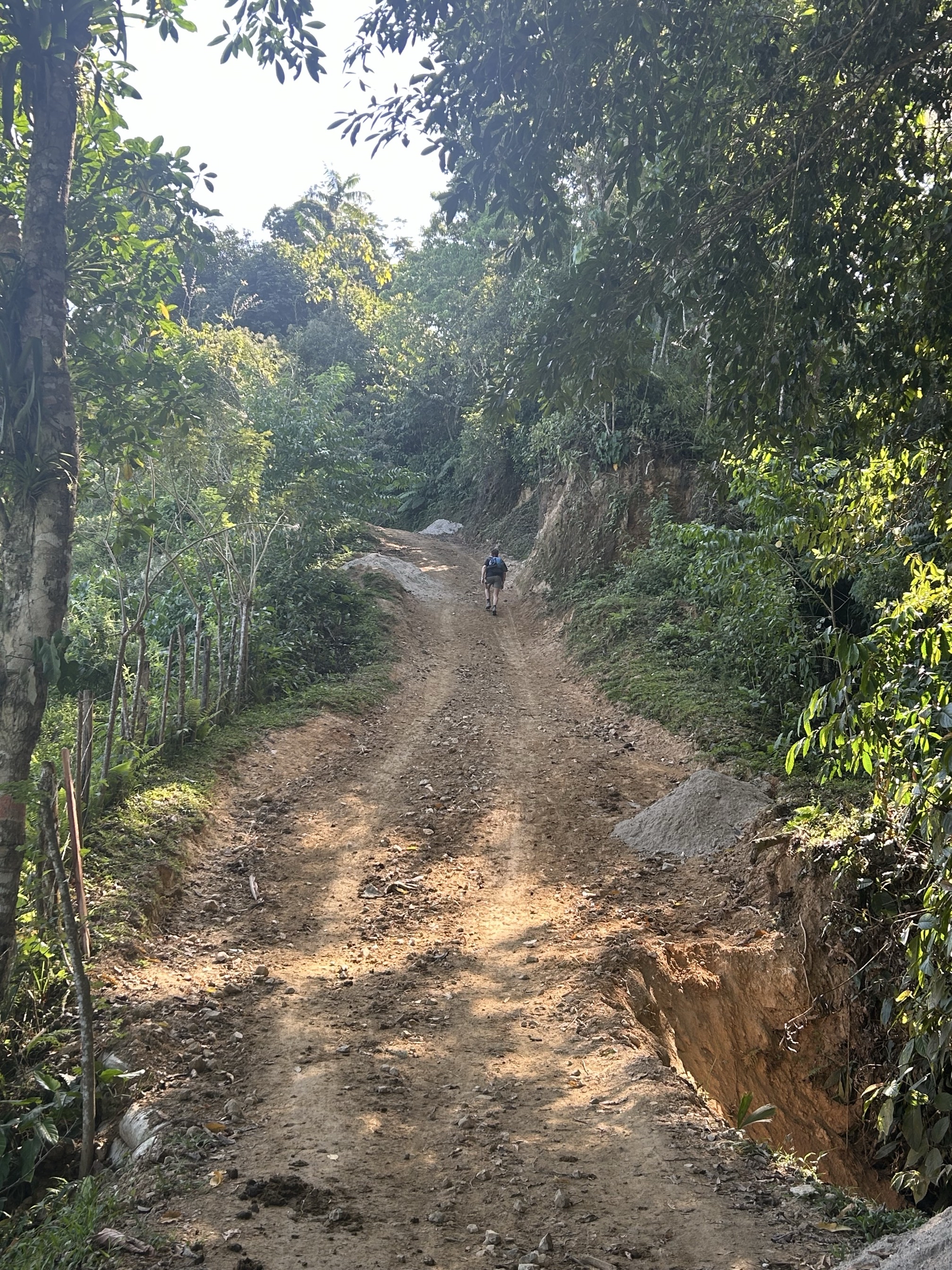Trek to La Ciudad Perdida (Lost City of Teyuna)