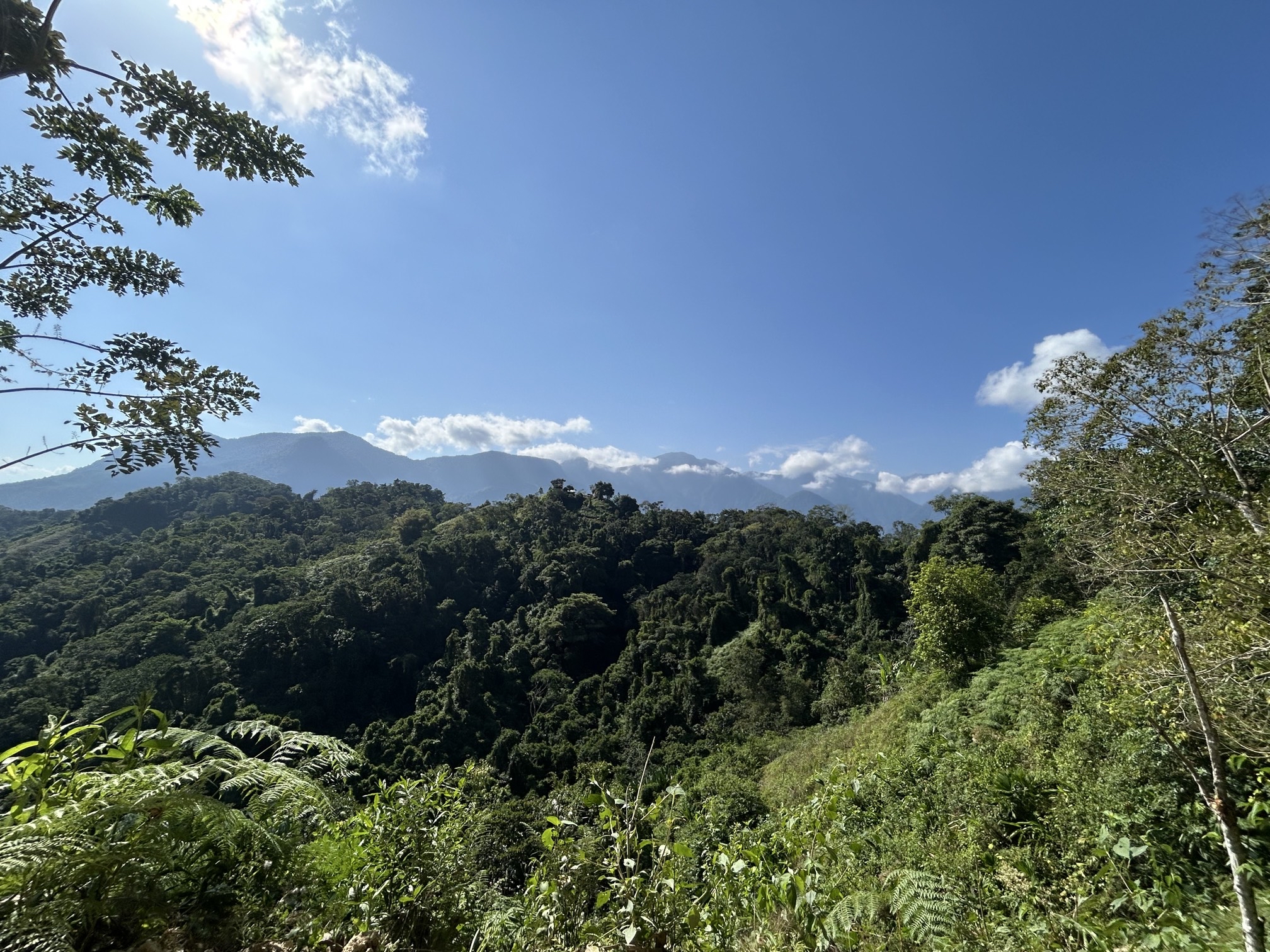 Trek to La Ciudad Perdida (Lost City of Teyuna)