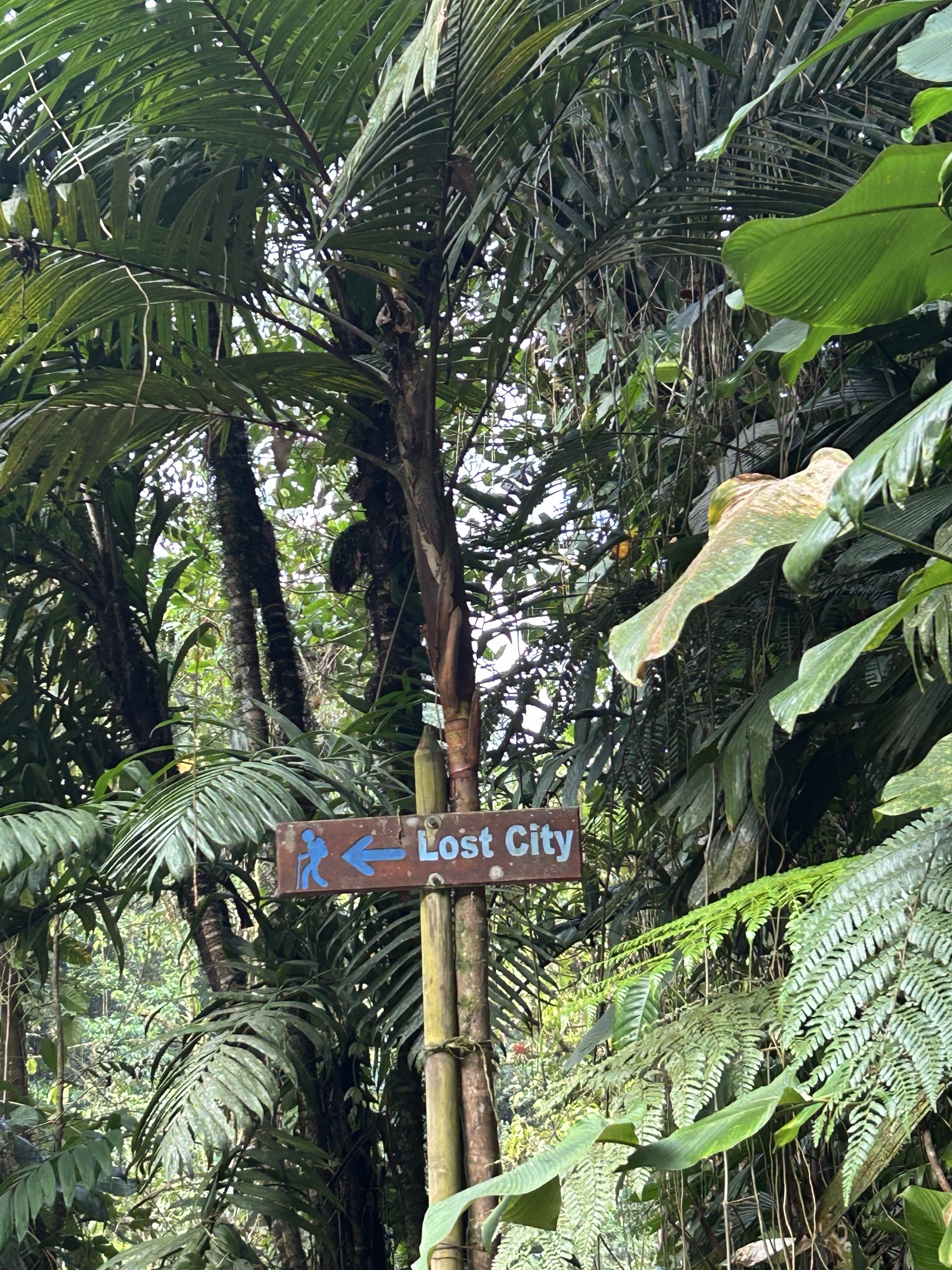 Trek to La Ciudad Perdida (Lost City of Teyuna)