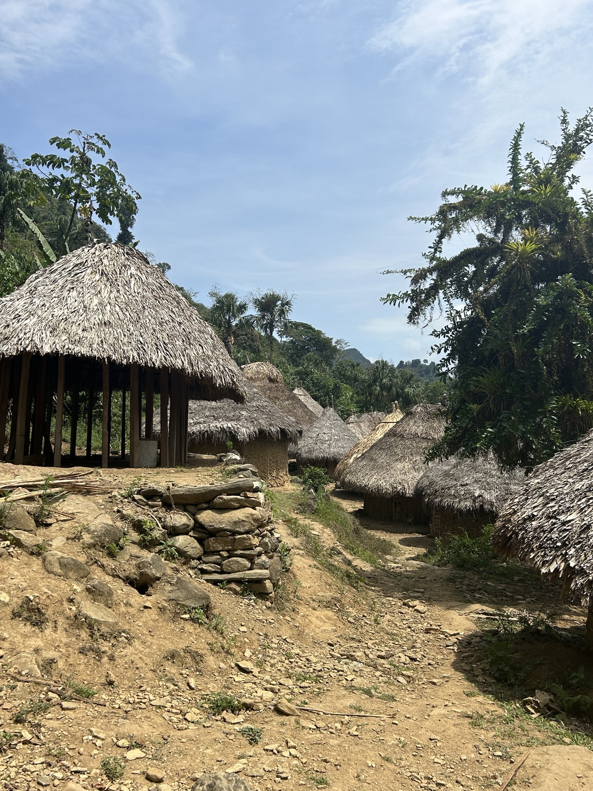 Trek to La Ciudad Perdida (Lost City of Teyuna)