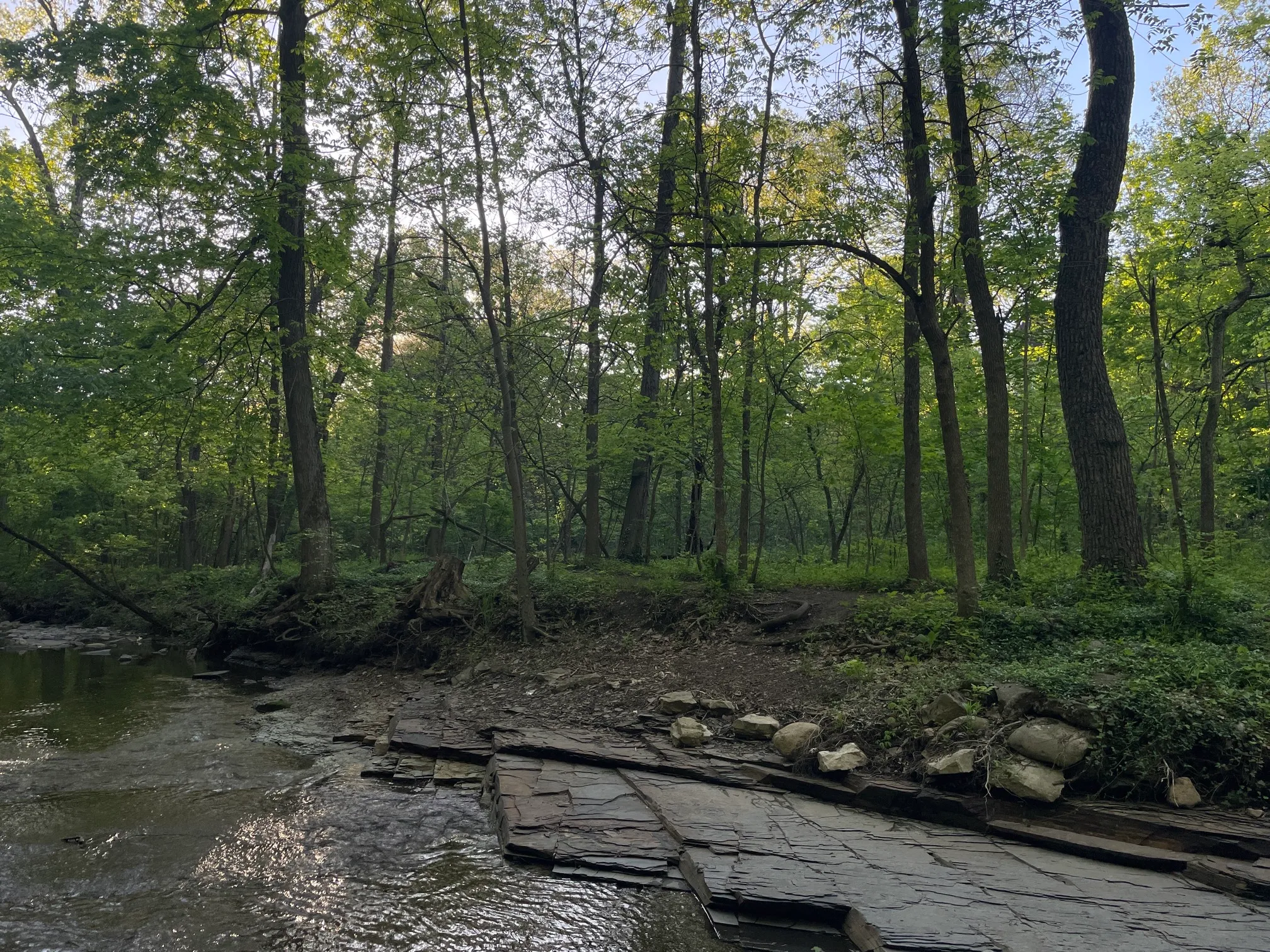 Walk Along Overbrook Dr. Creak