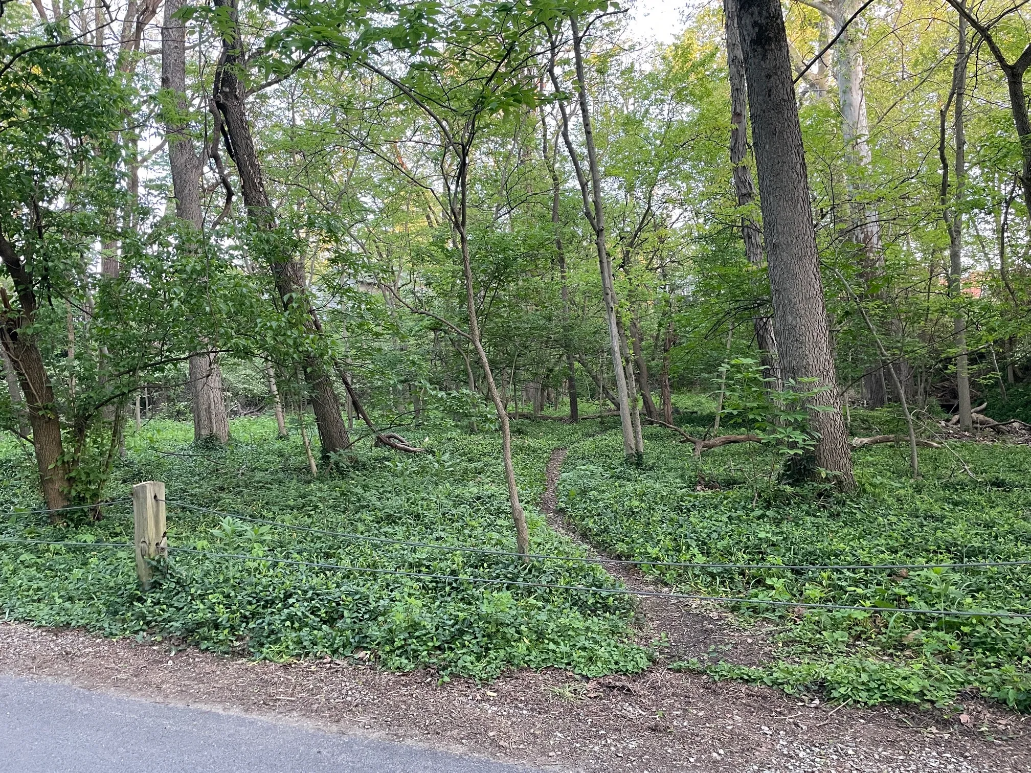 Walk Along Overbrook Dr. Creak