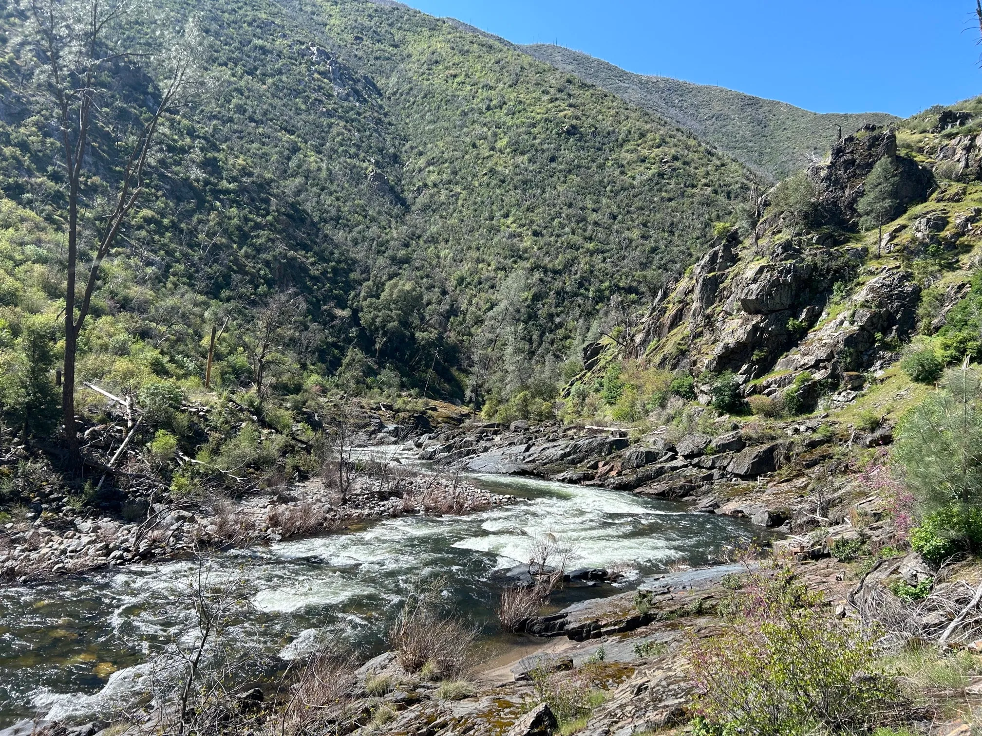 Hites Cove Trail