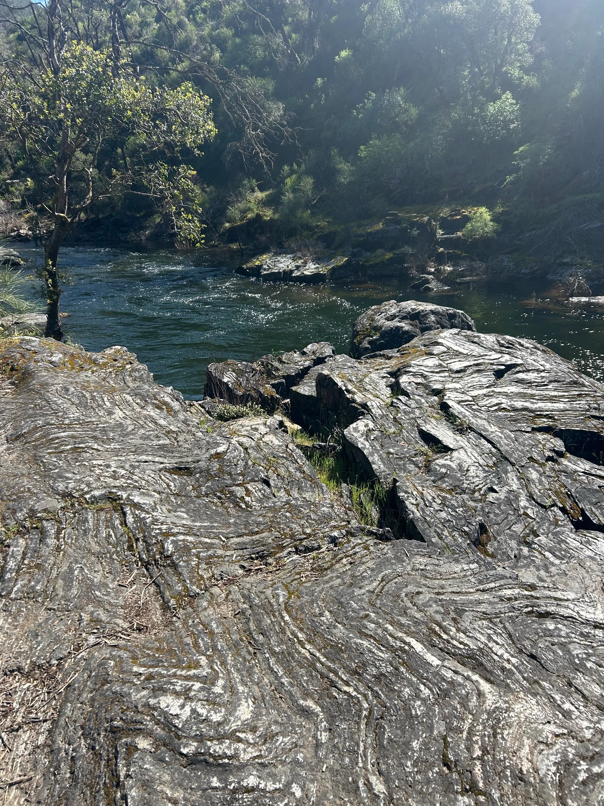 Hites Cove Trail