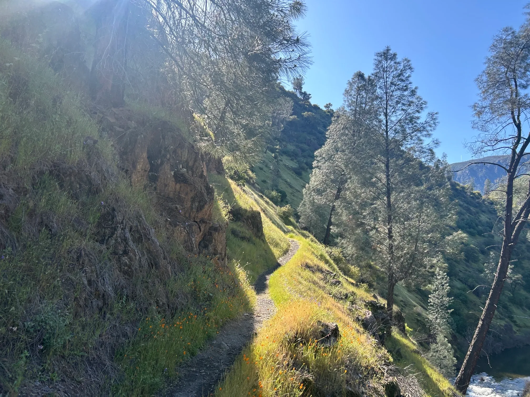 Hites Cove Trail