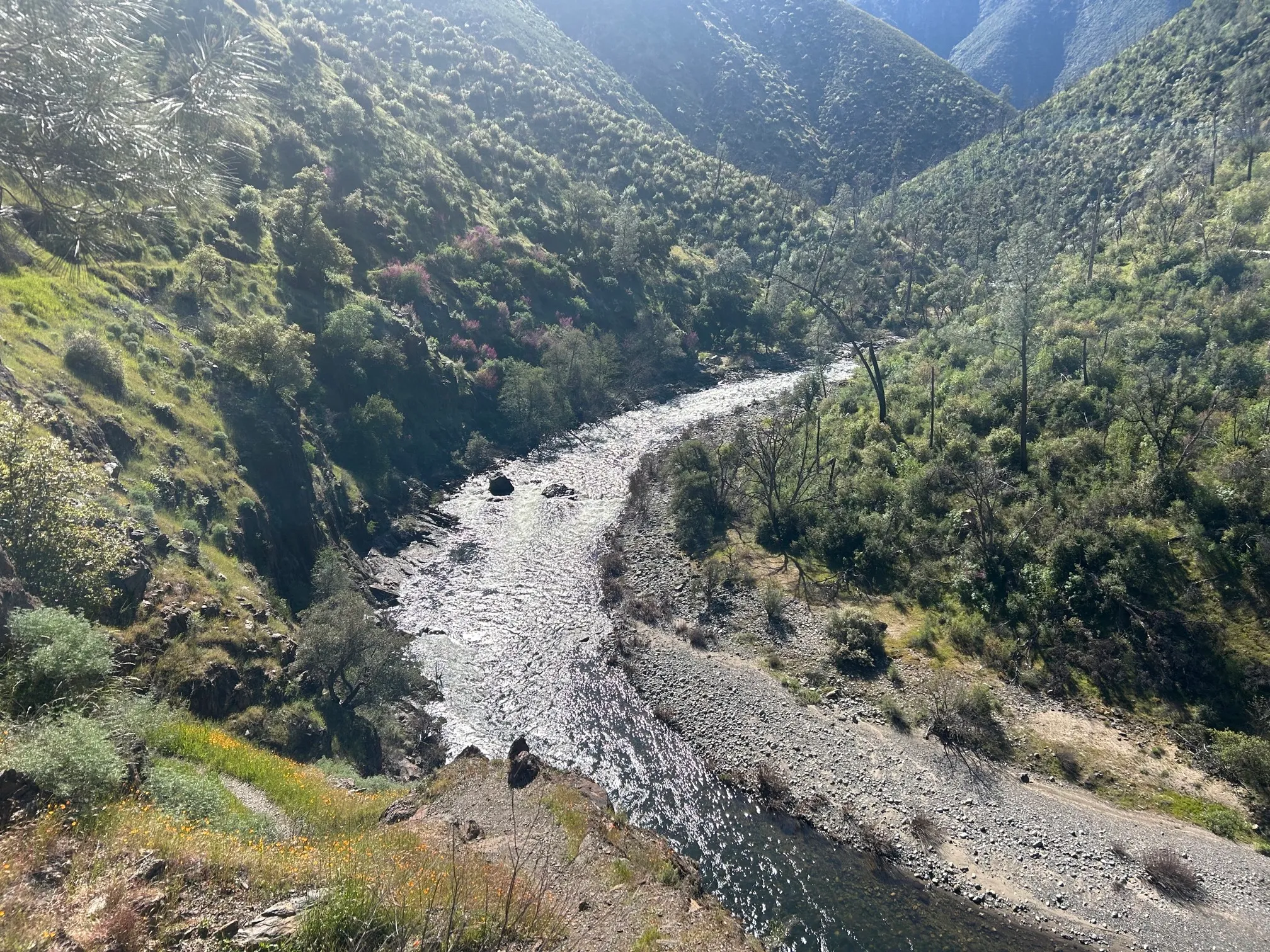 Hites Cove Trail