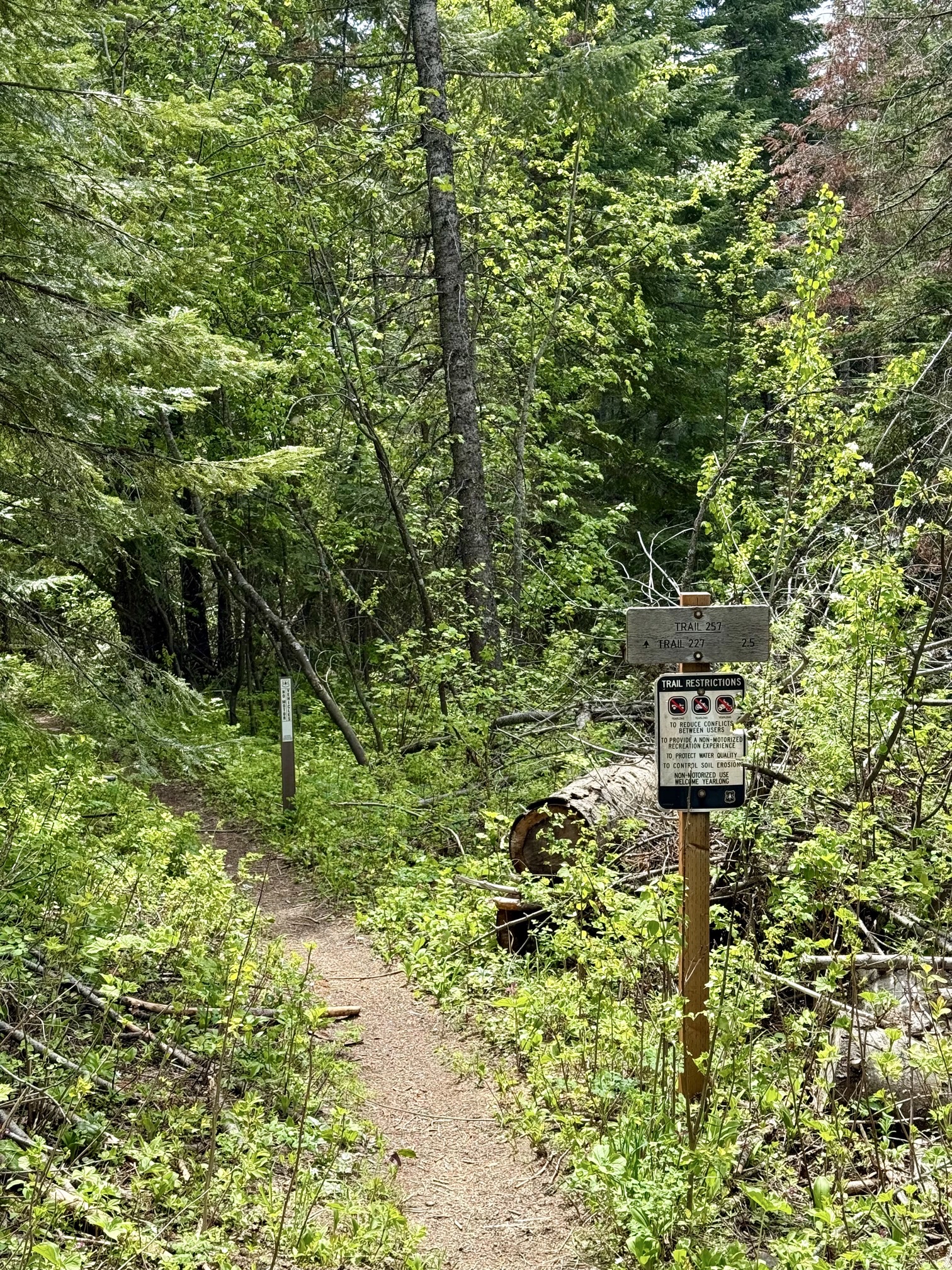 Trail 257
