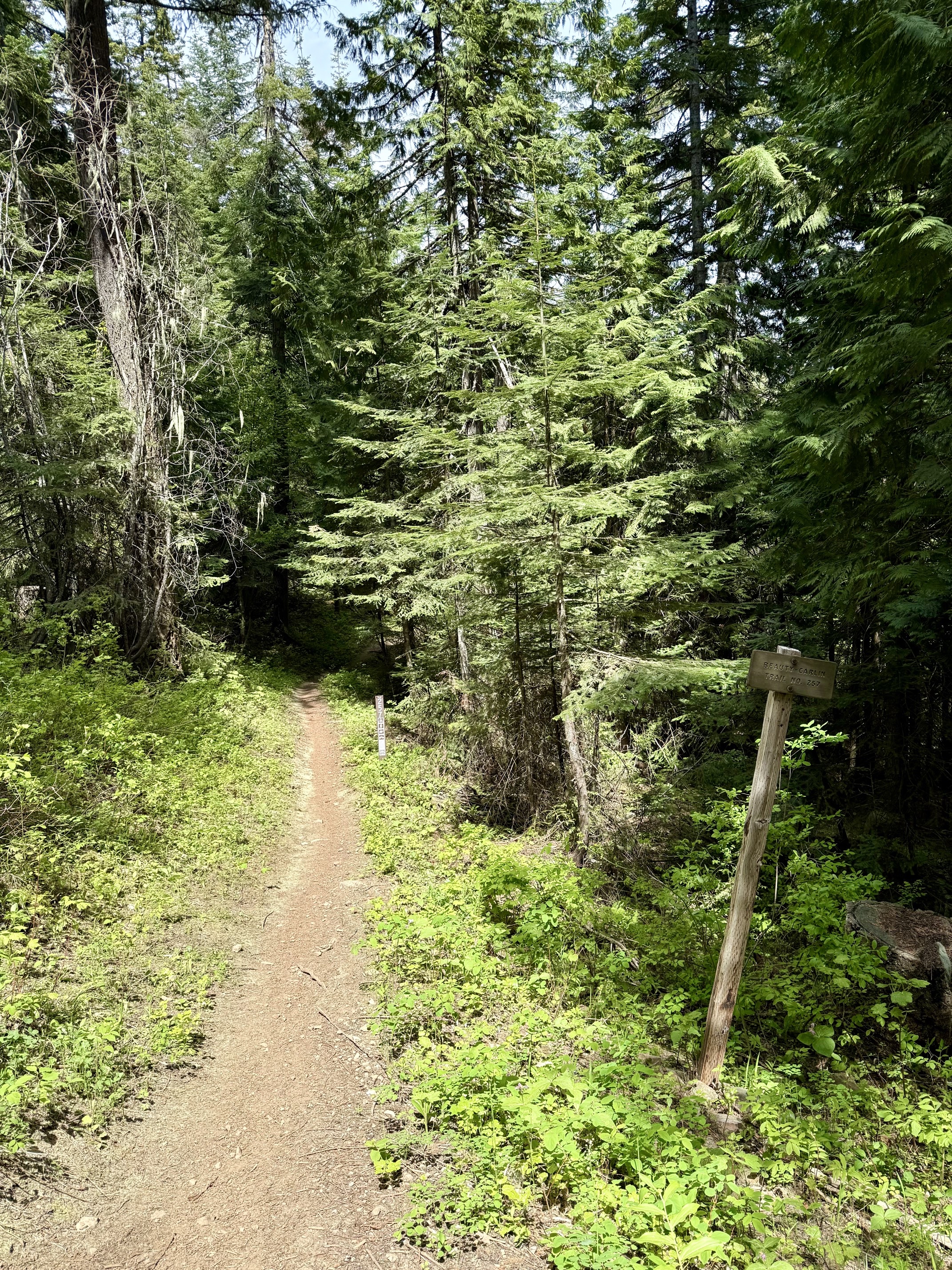 Trail 257