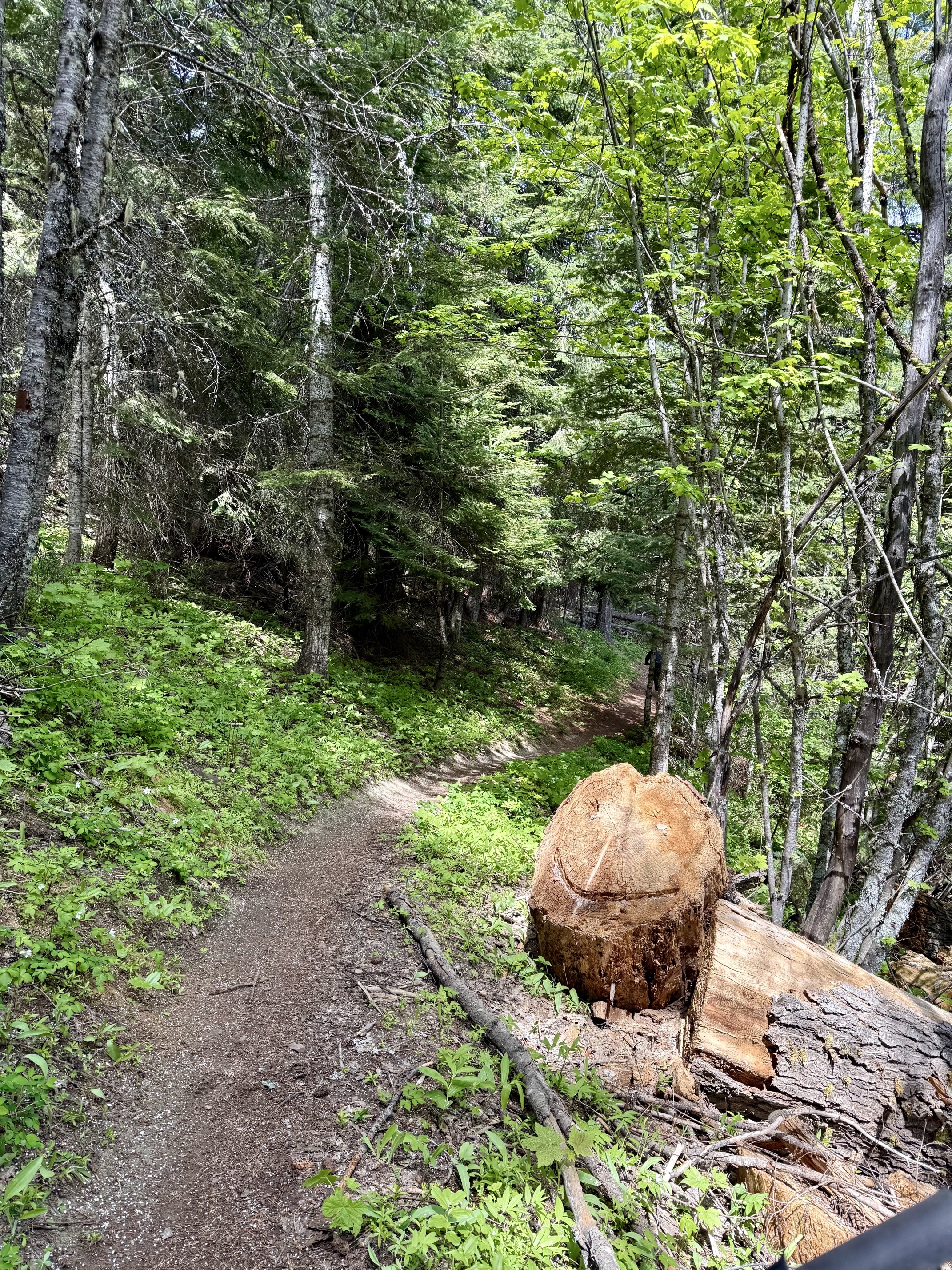 Trail 257