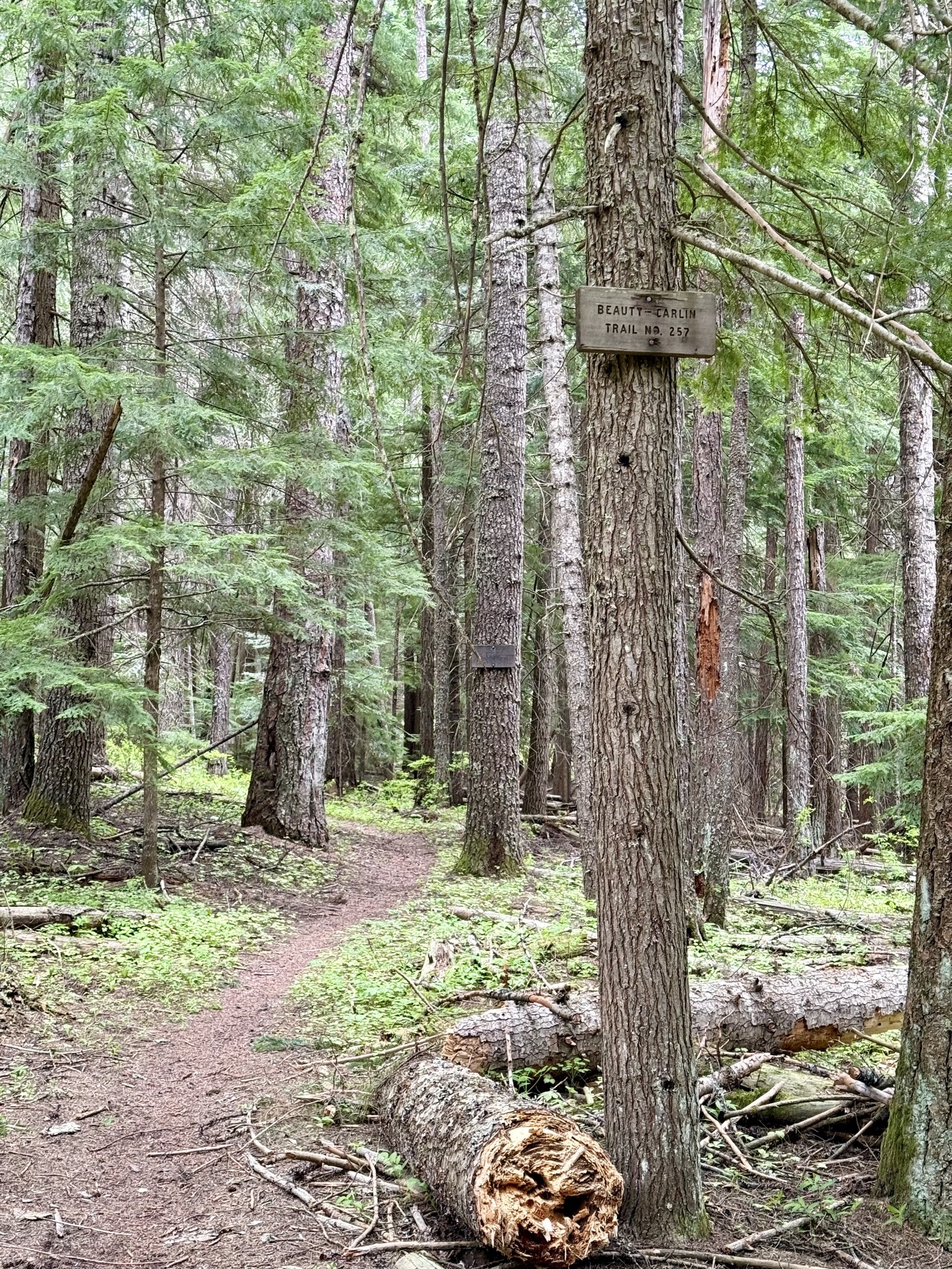 Trail 257