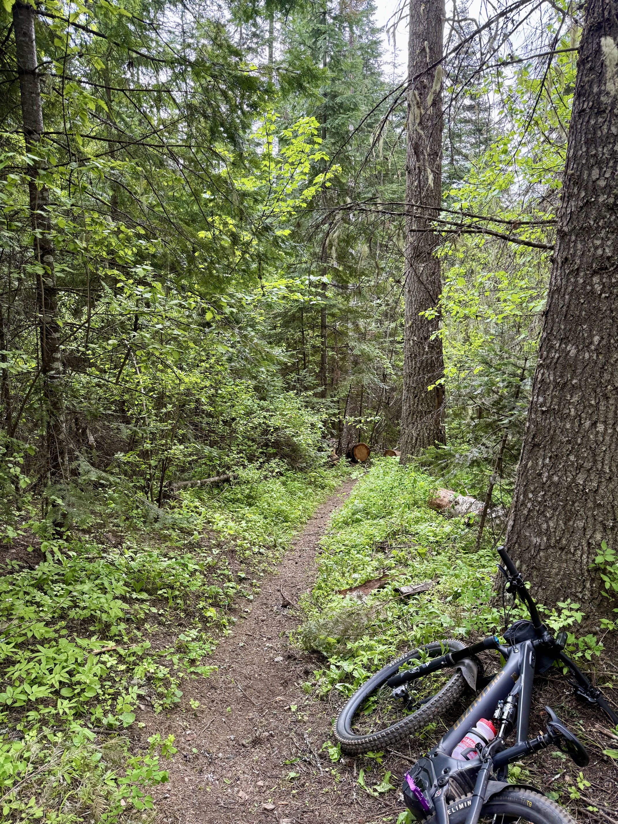 Trail 257