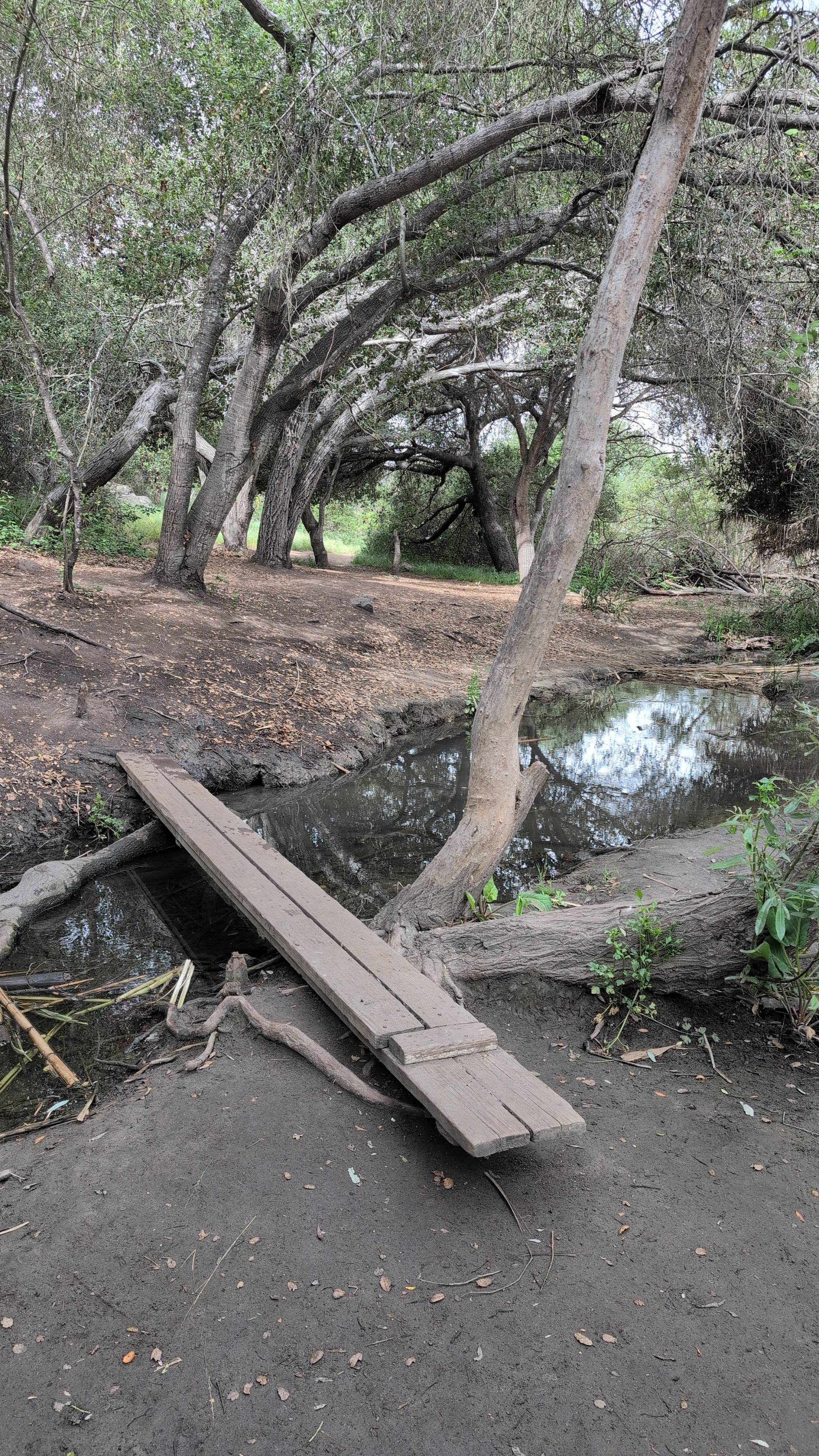 Lake Calavera via Oak Riparian Park