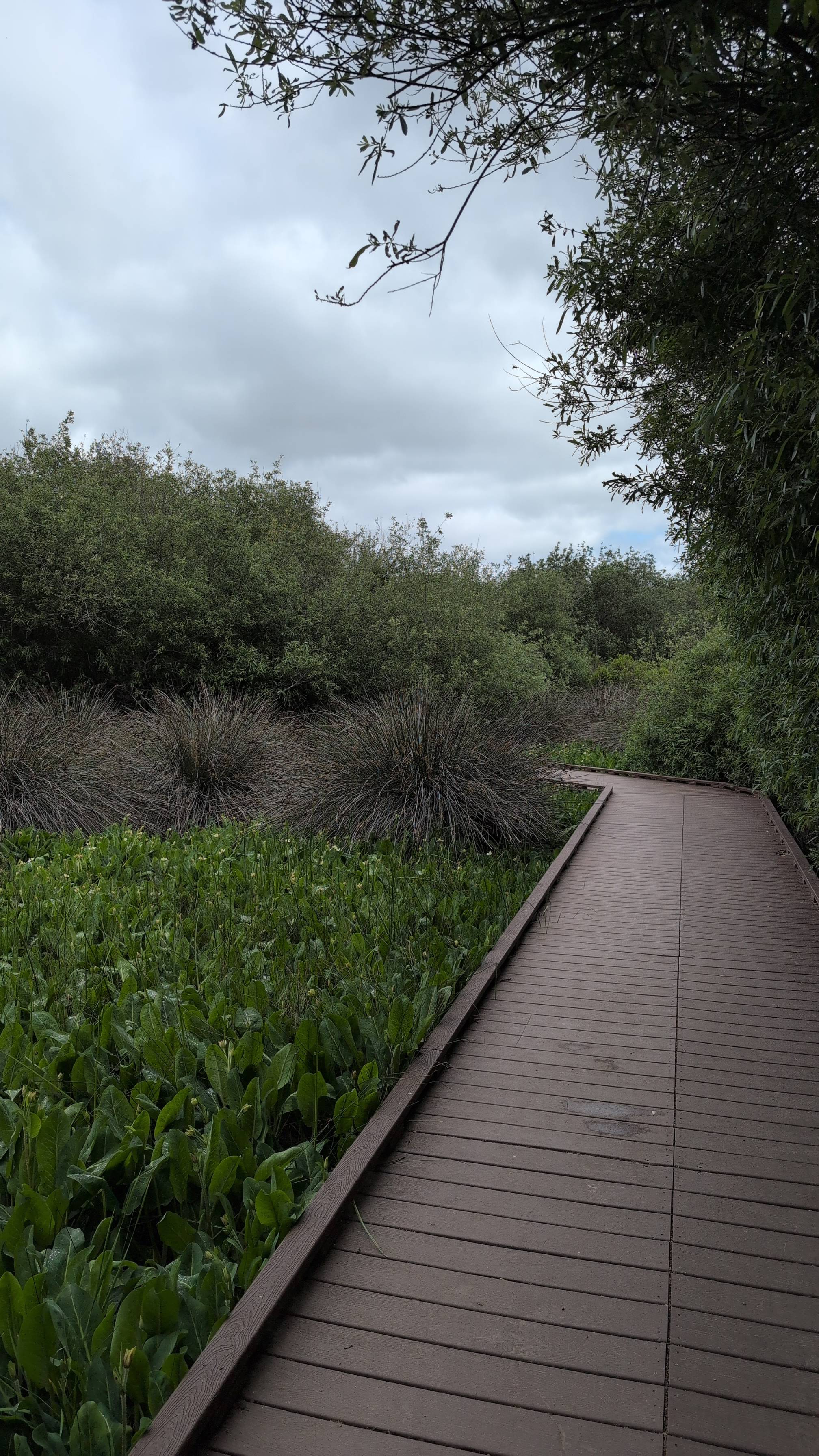 Lake Calavera via Oak Riparian Park