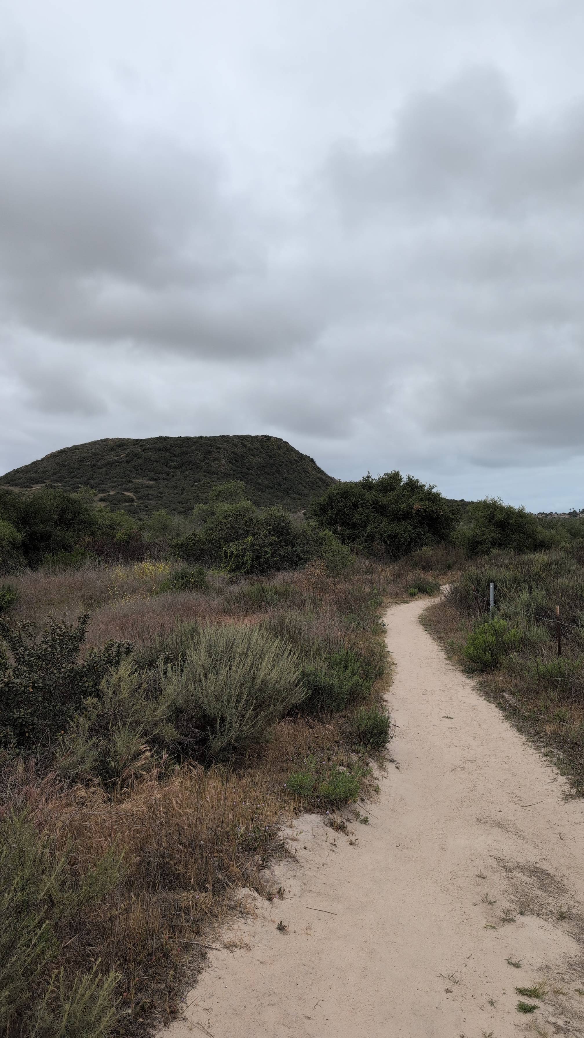 Lake Calavera via Oak Riparian Park