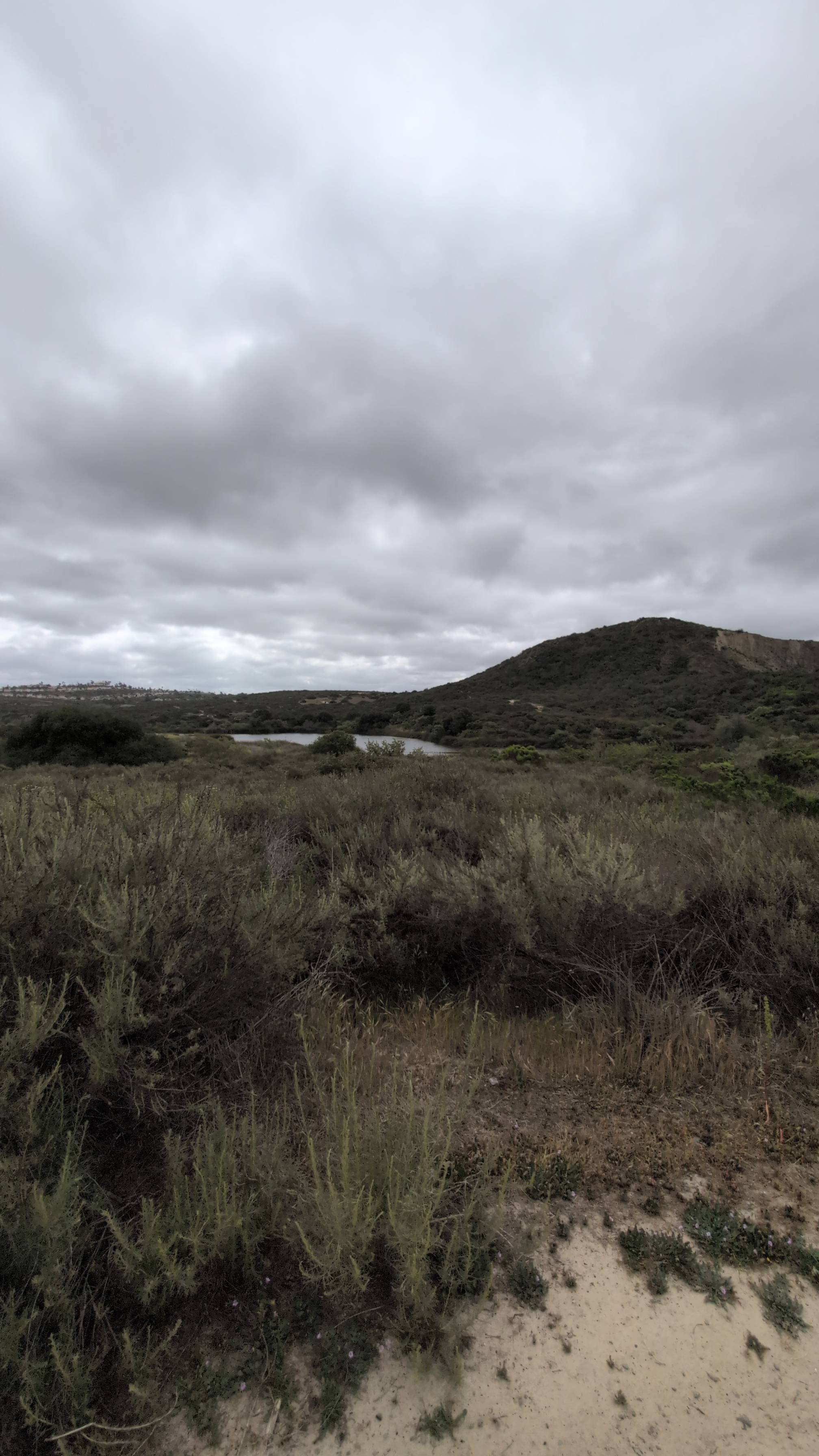 Lake Calavera via Oak Riparian Park