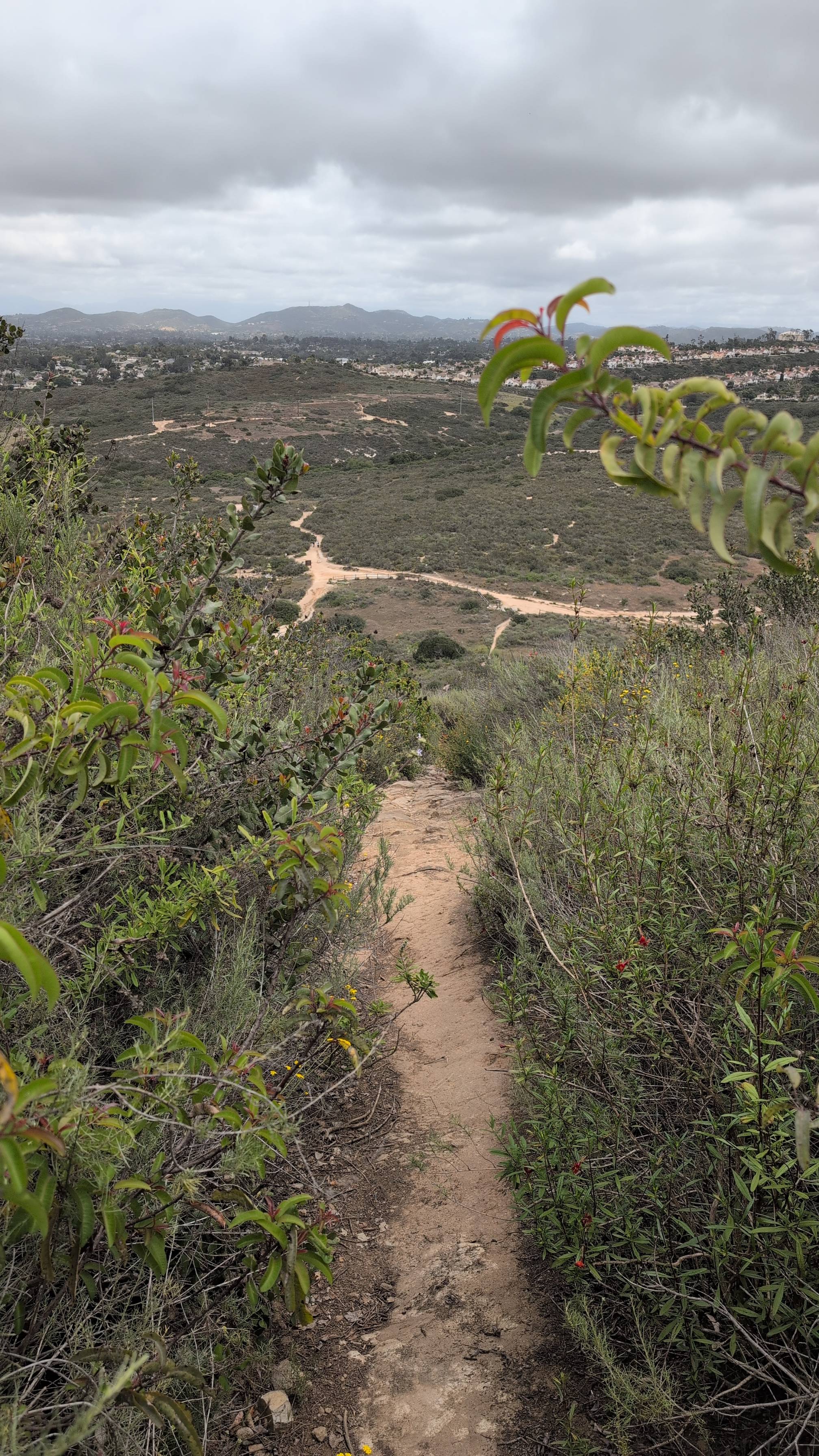 Lake Calavera via Oak Riparian Park