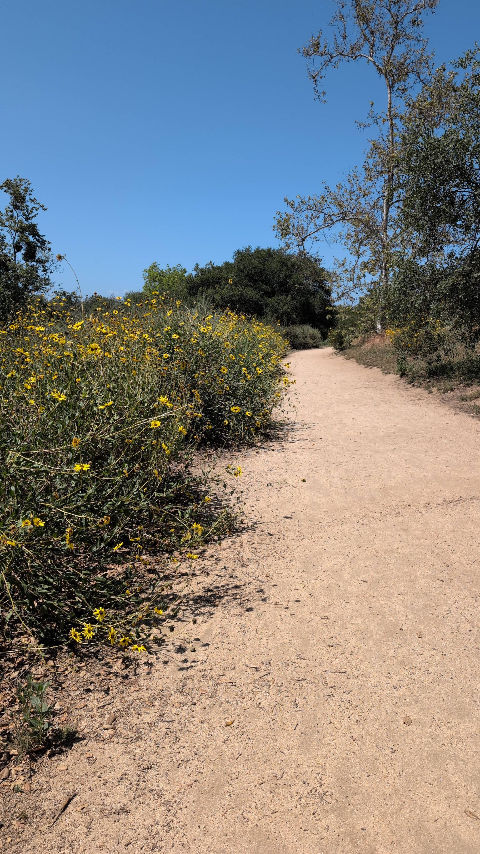 Los Jilgueros Preserve Trail