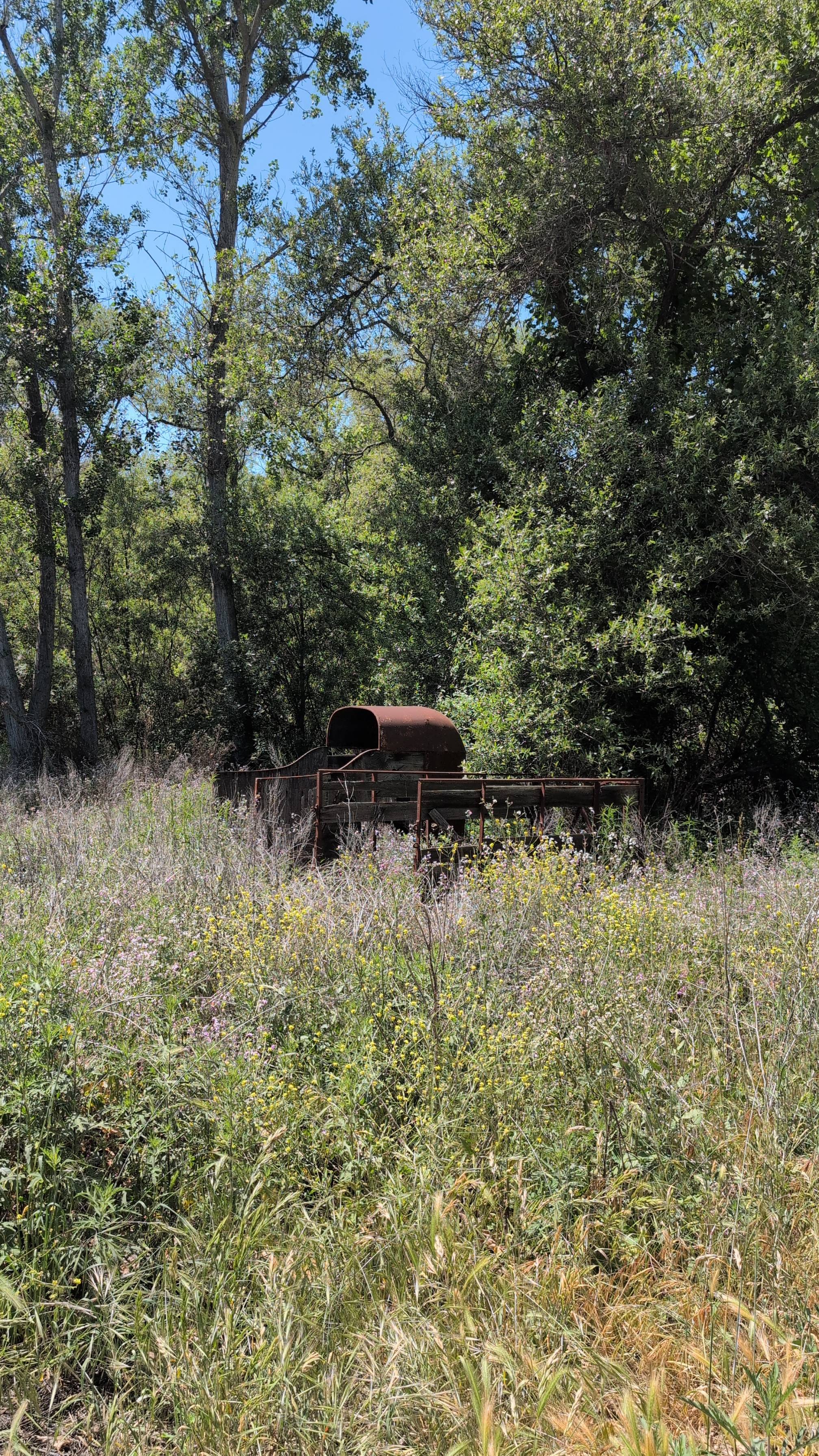 Los Jilgueros Preserve Trail