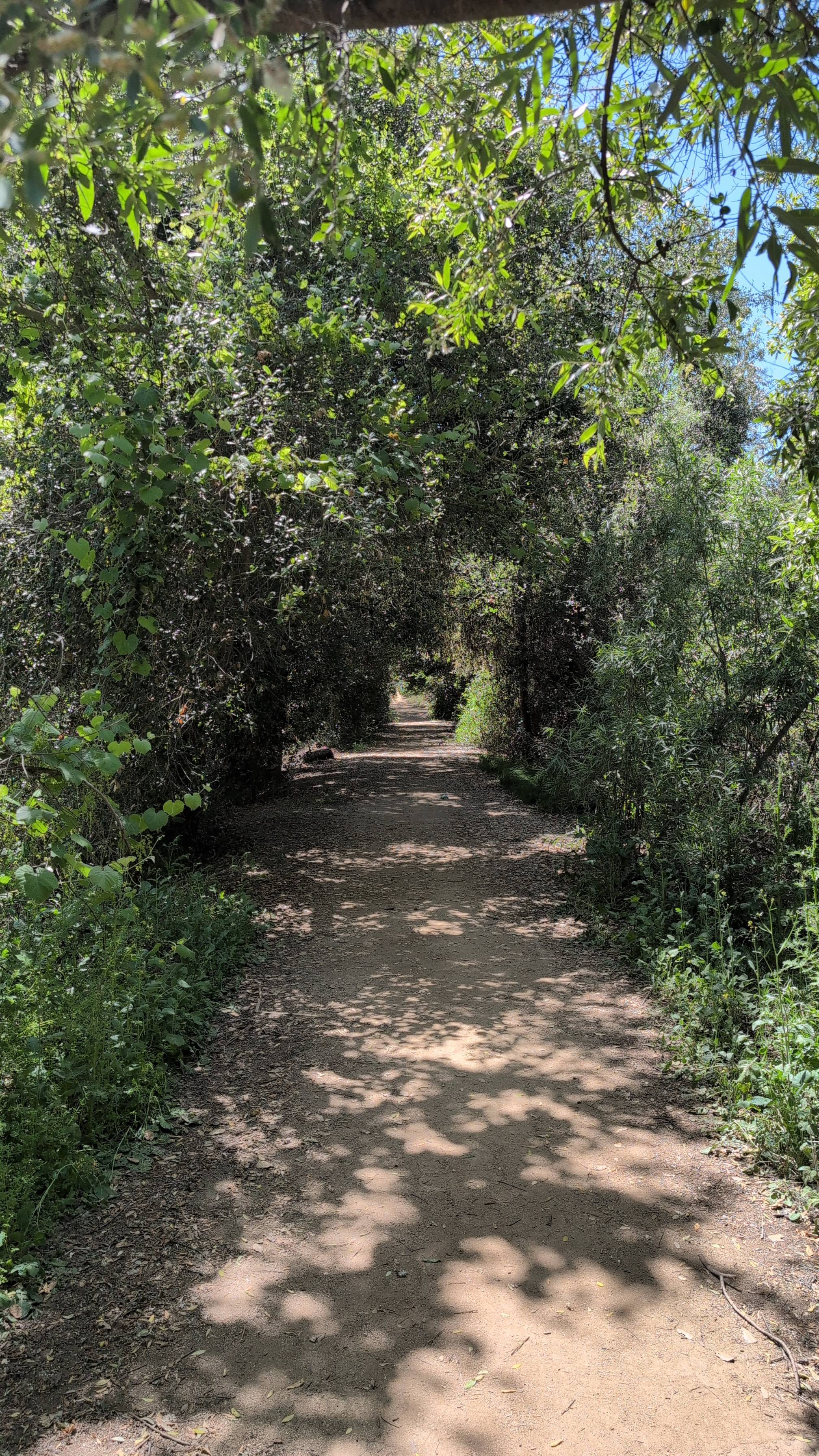 Los Jilgueros Preserve Trail