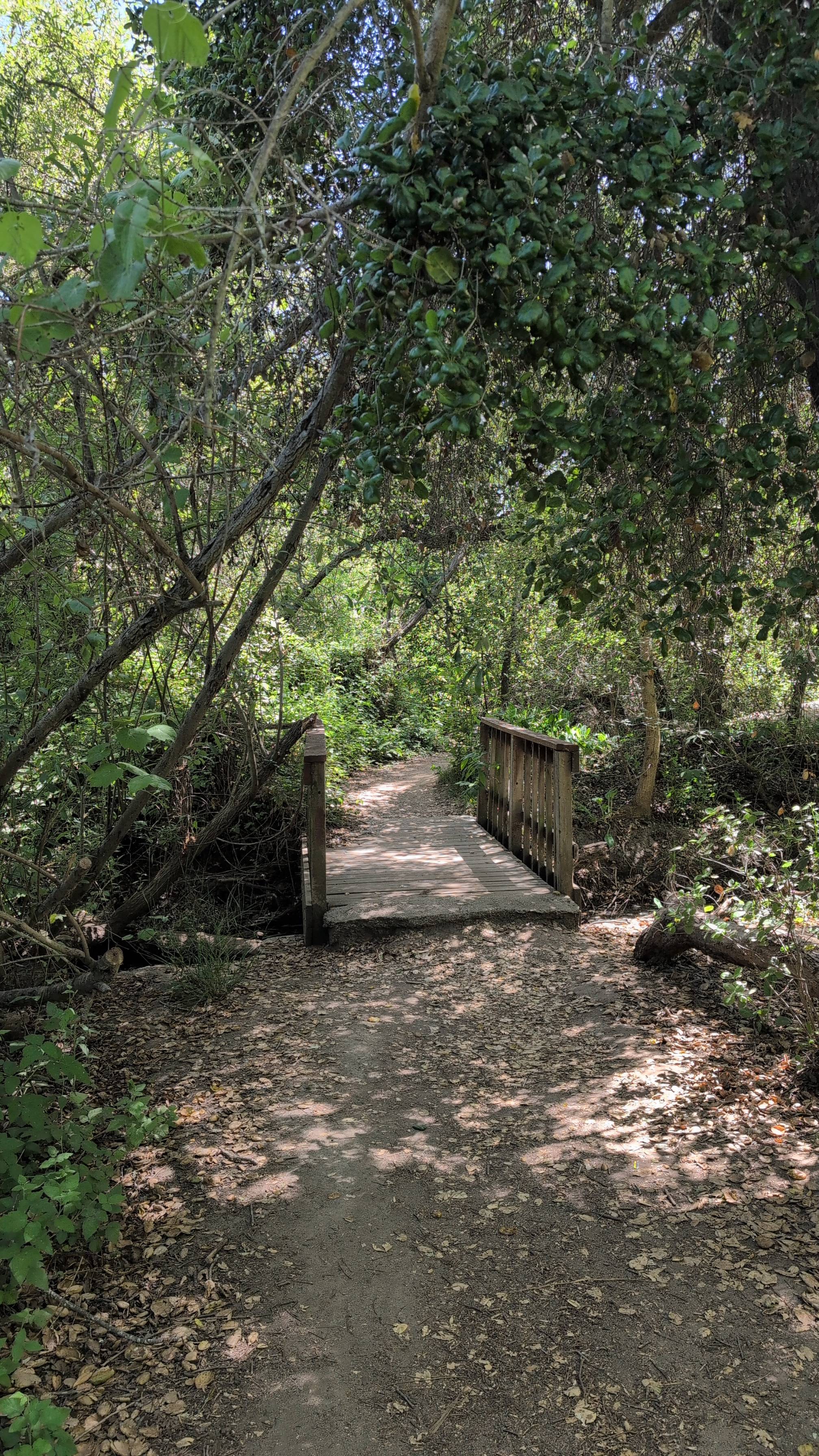 Los Jilgueros Preserve Trail