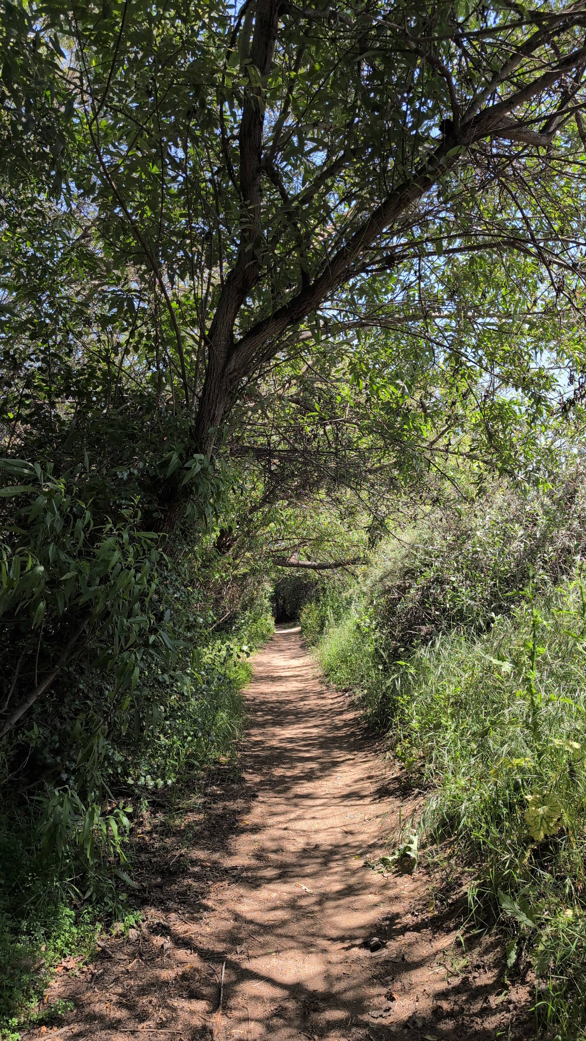 Los Jilgueros Preserve Trail