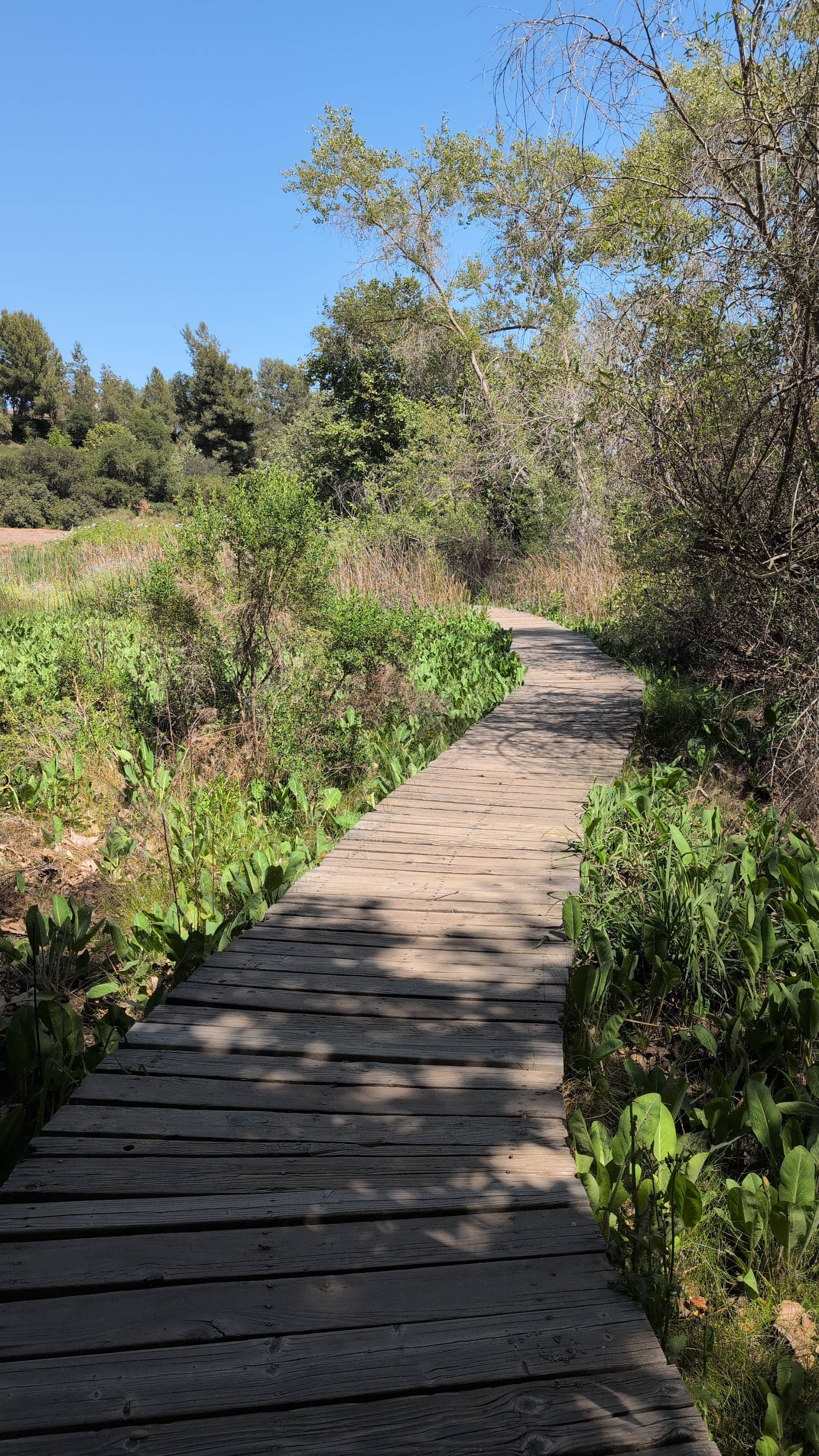 Los Jilgueros Preserve Trail