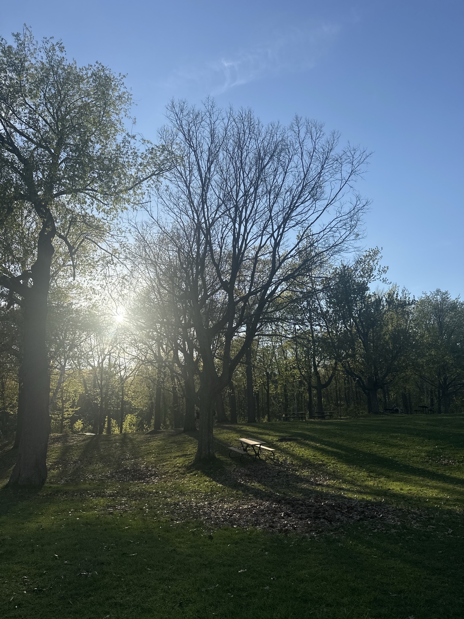 Mount Royal