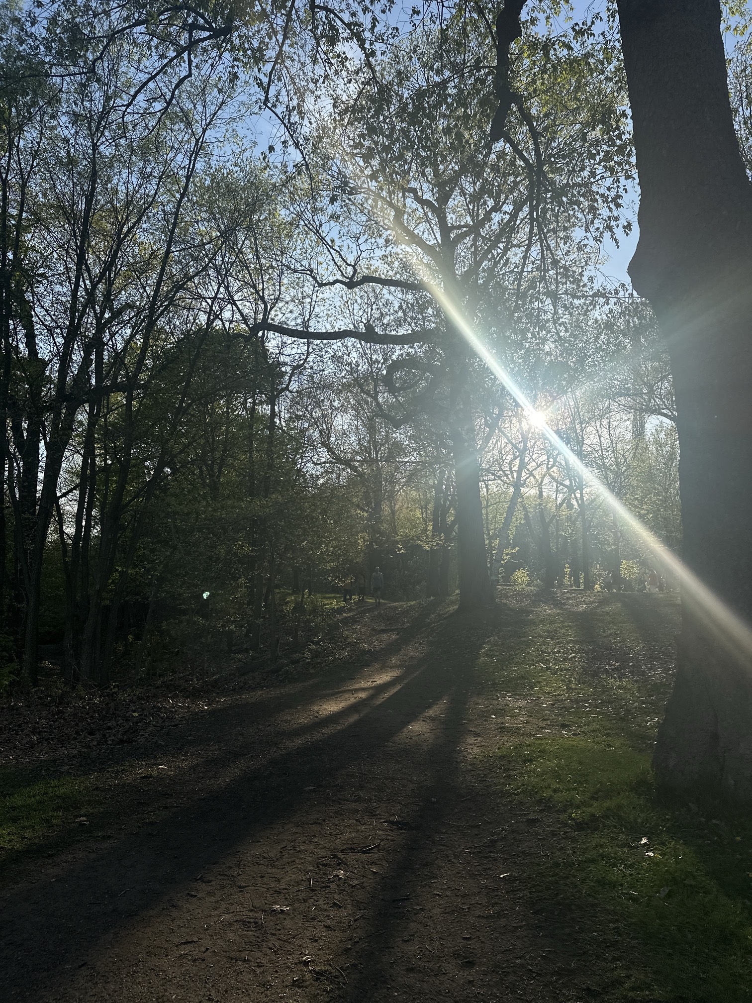 Mount Royal
