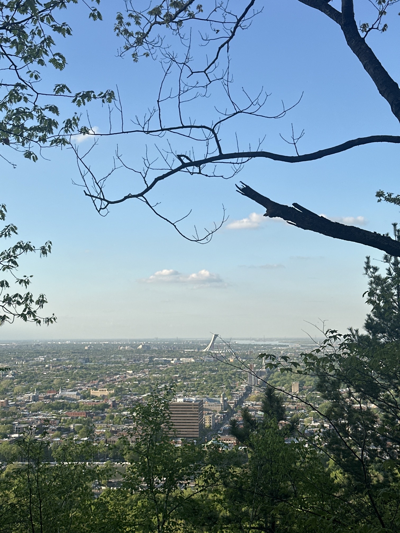 Mount Royal
