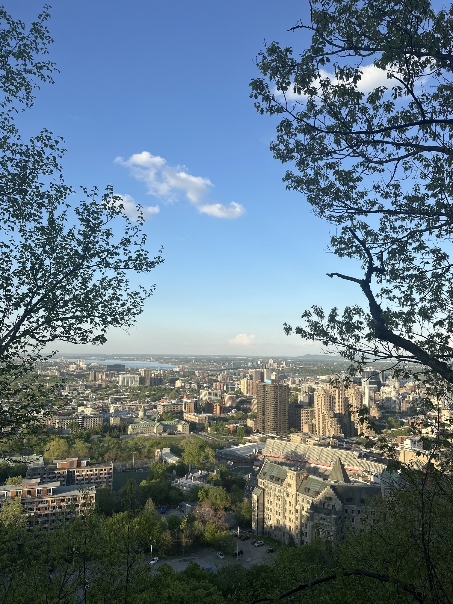 Mount Royal
