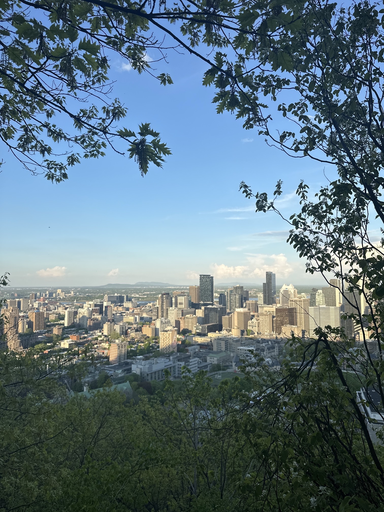 Mount Royal