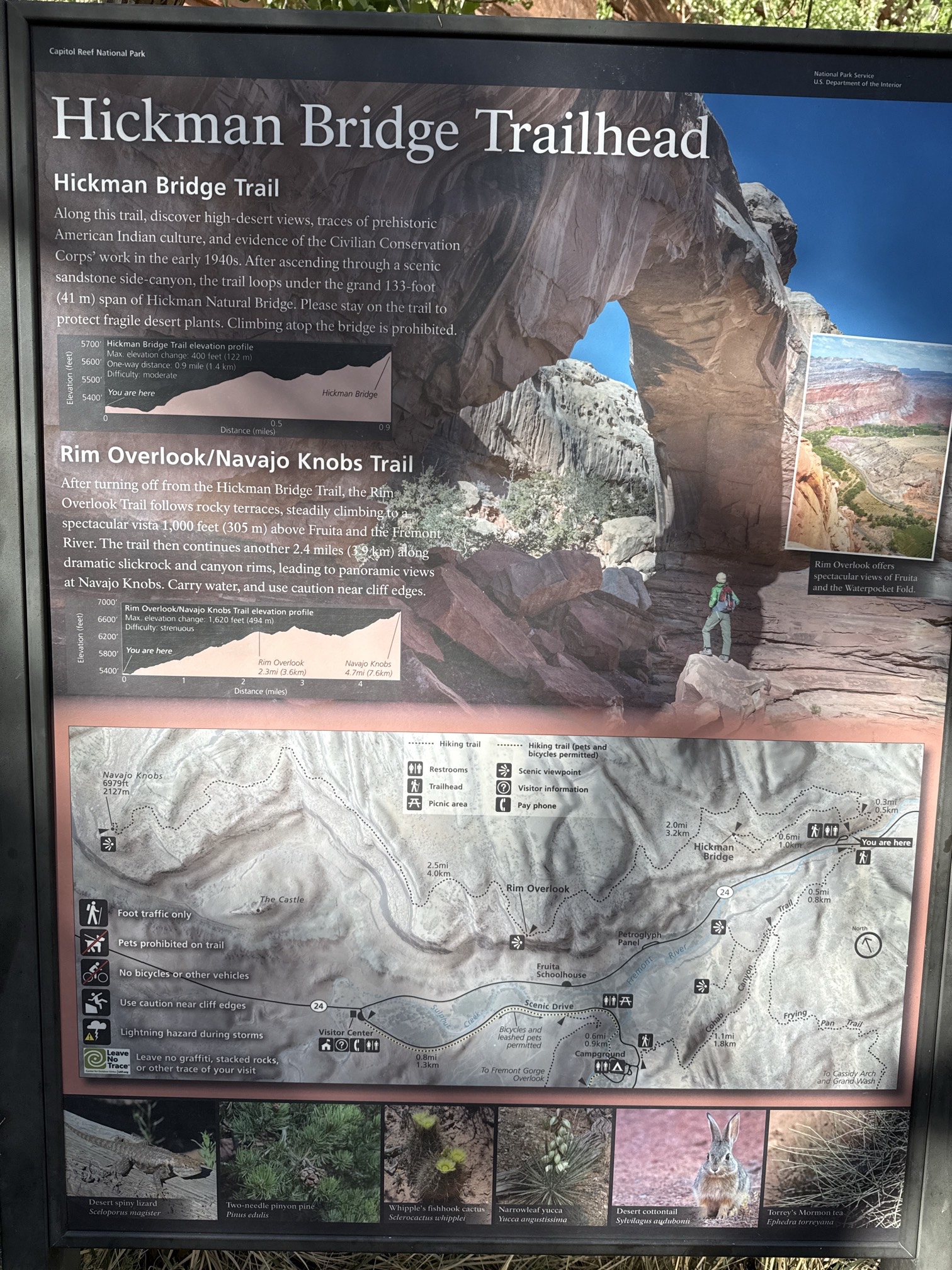Hickman Natural Bridge Trail