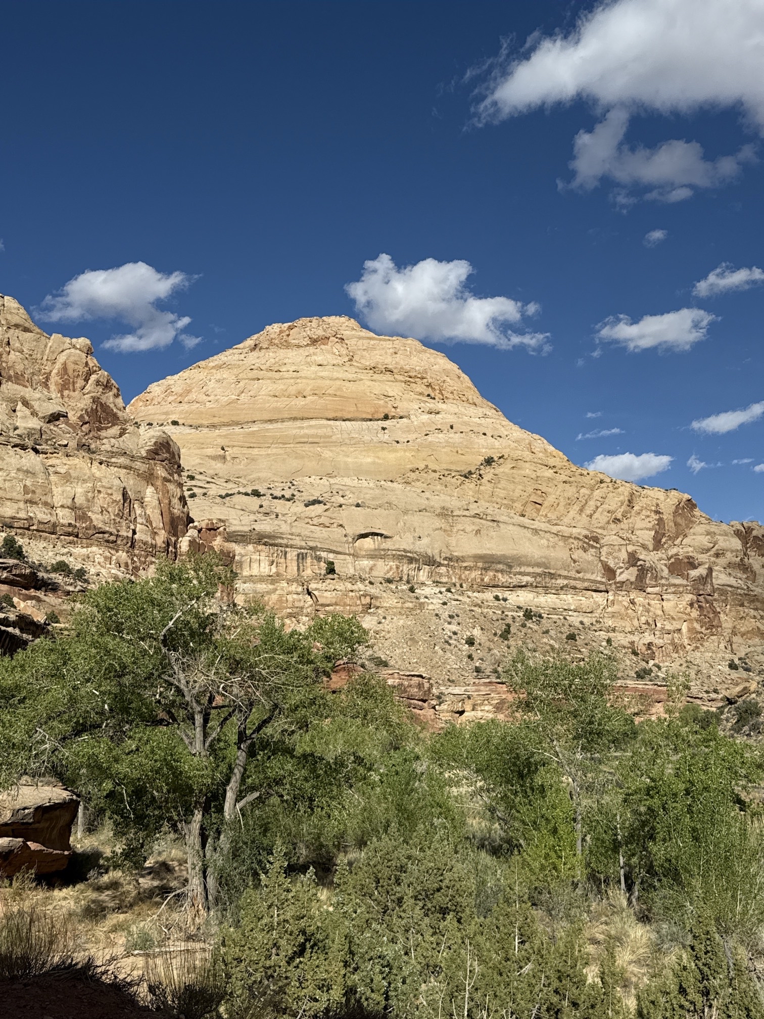 Hickman Natural Bridge Trail