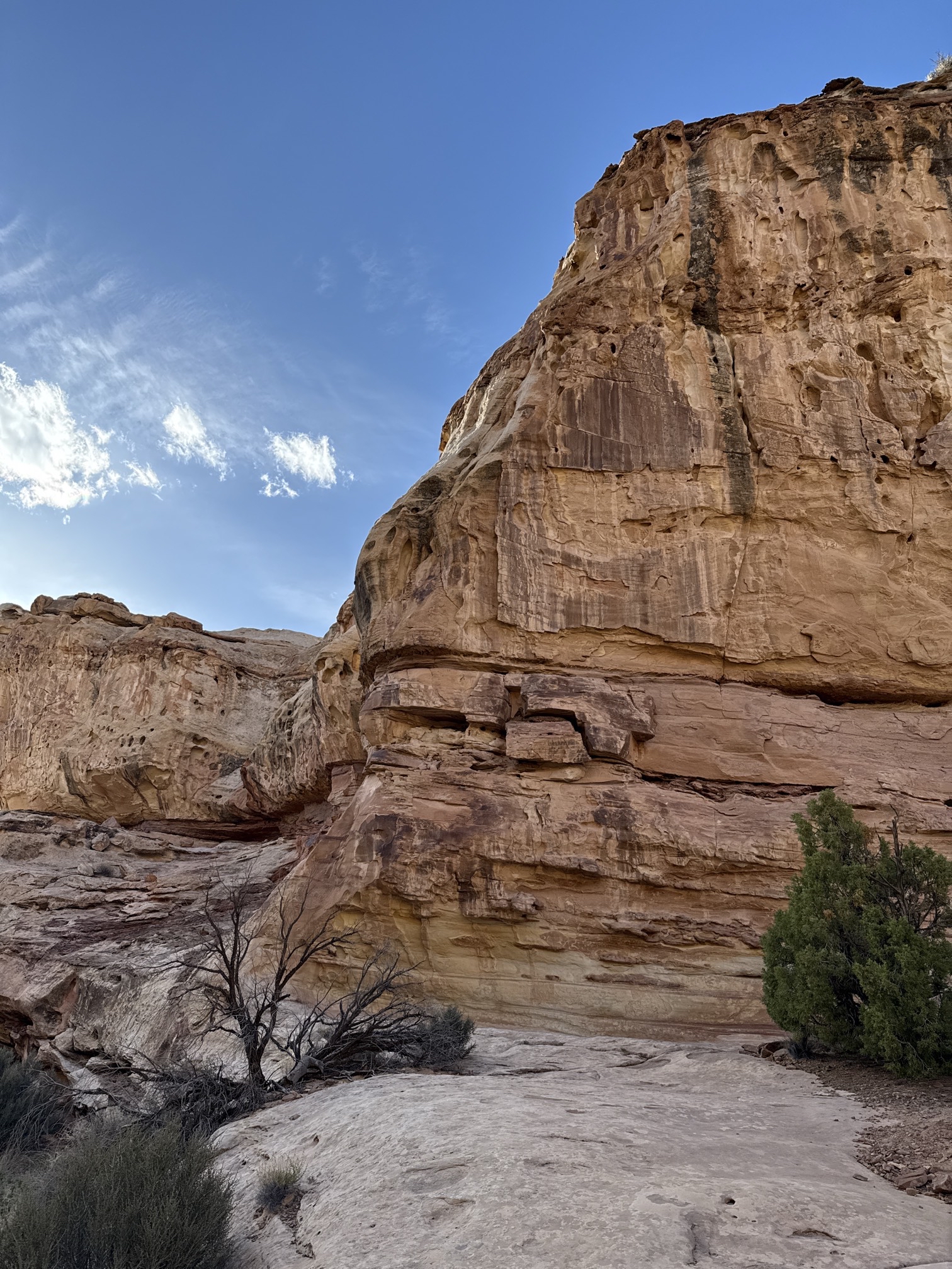 Hickman Natural Bridge Trail