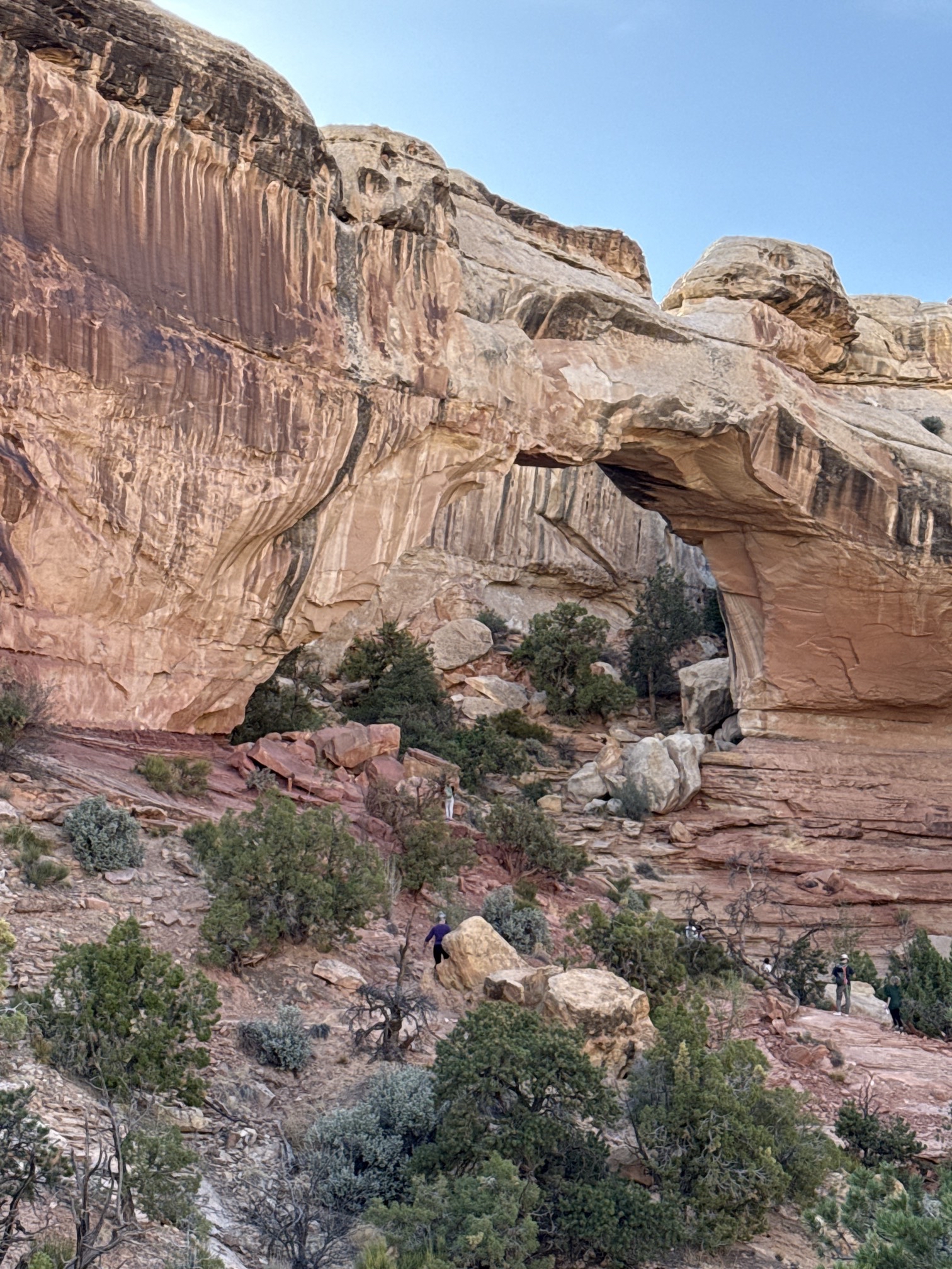 Hickman Natural Bridge Trail
