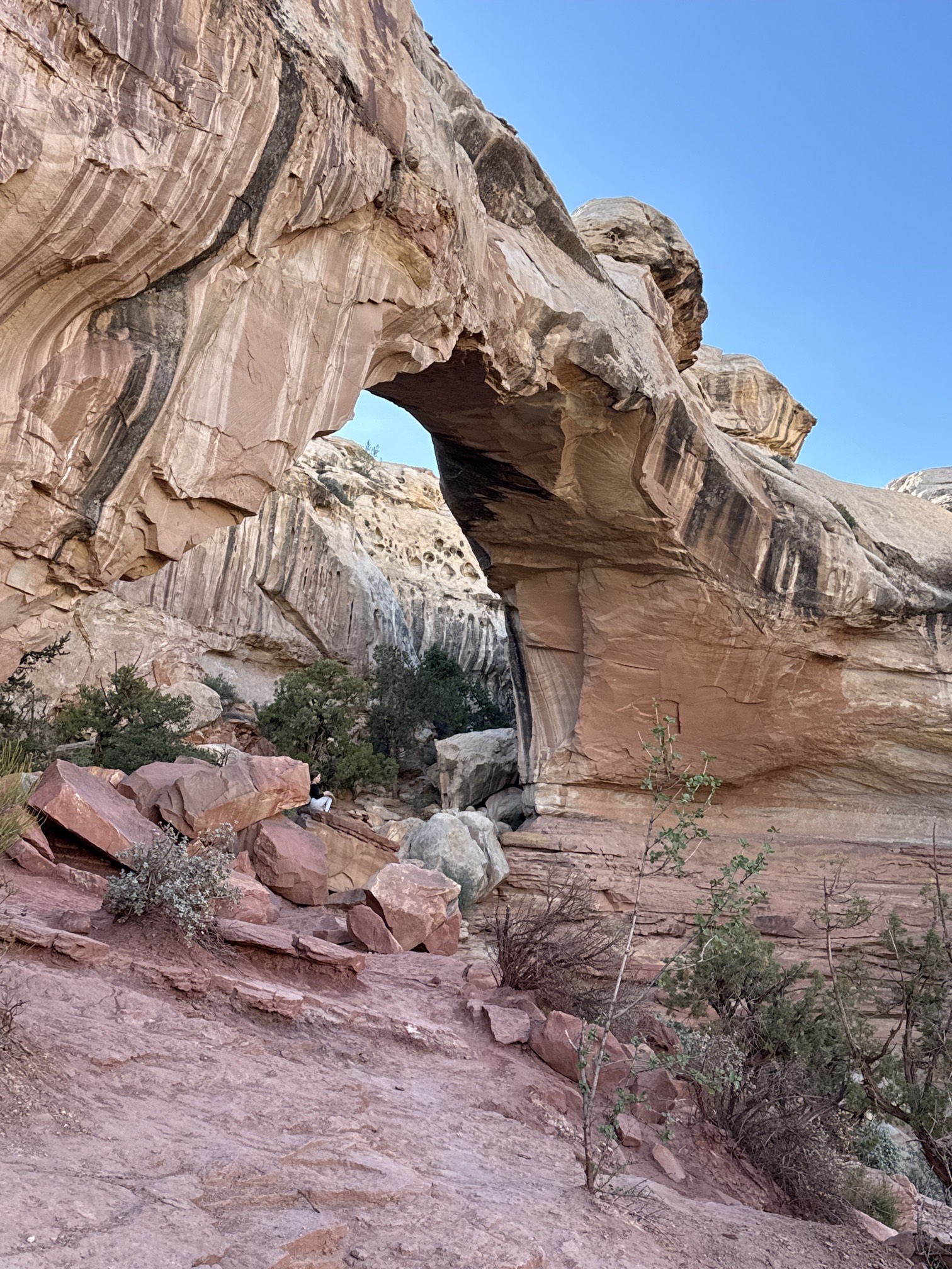 Hickman Natural Bridge Trail
