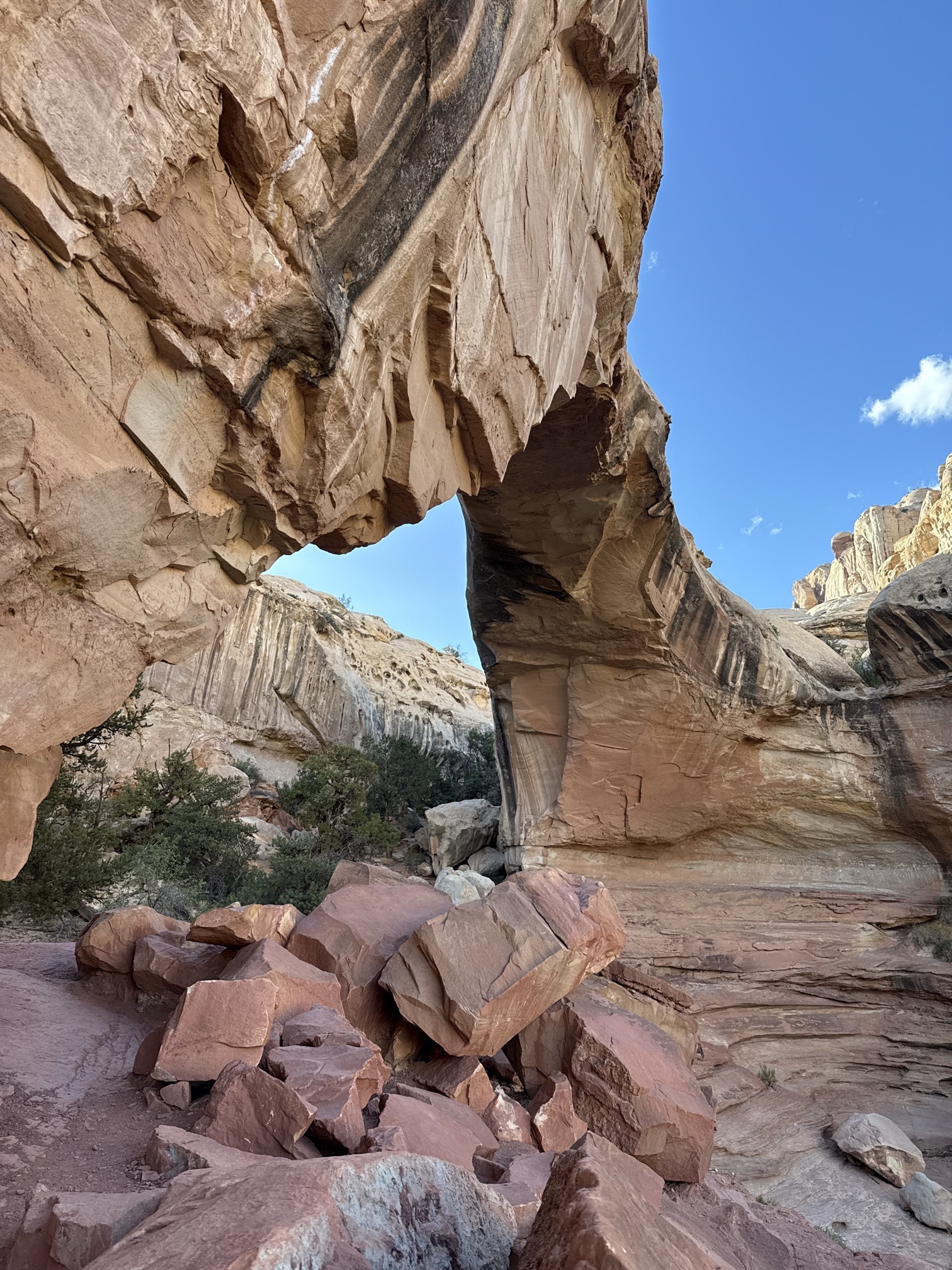 Hickman Natural Bridge Trail