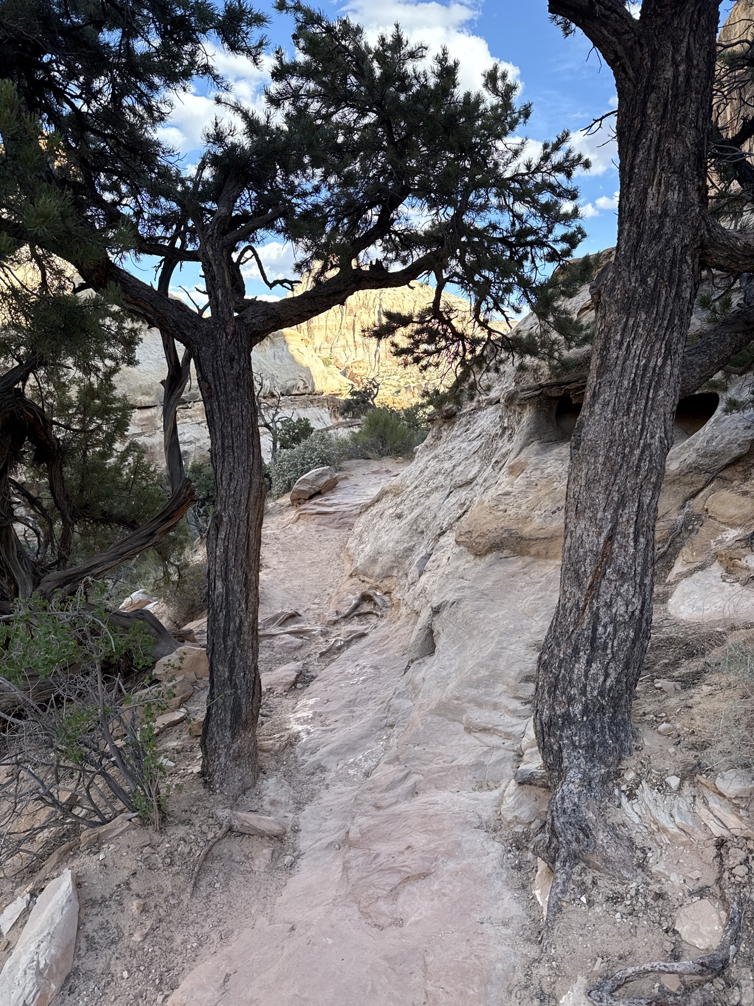 Hickman Natural Bridge Trail