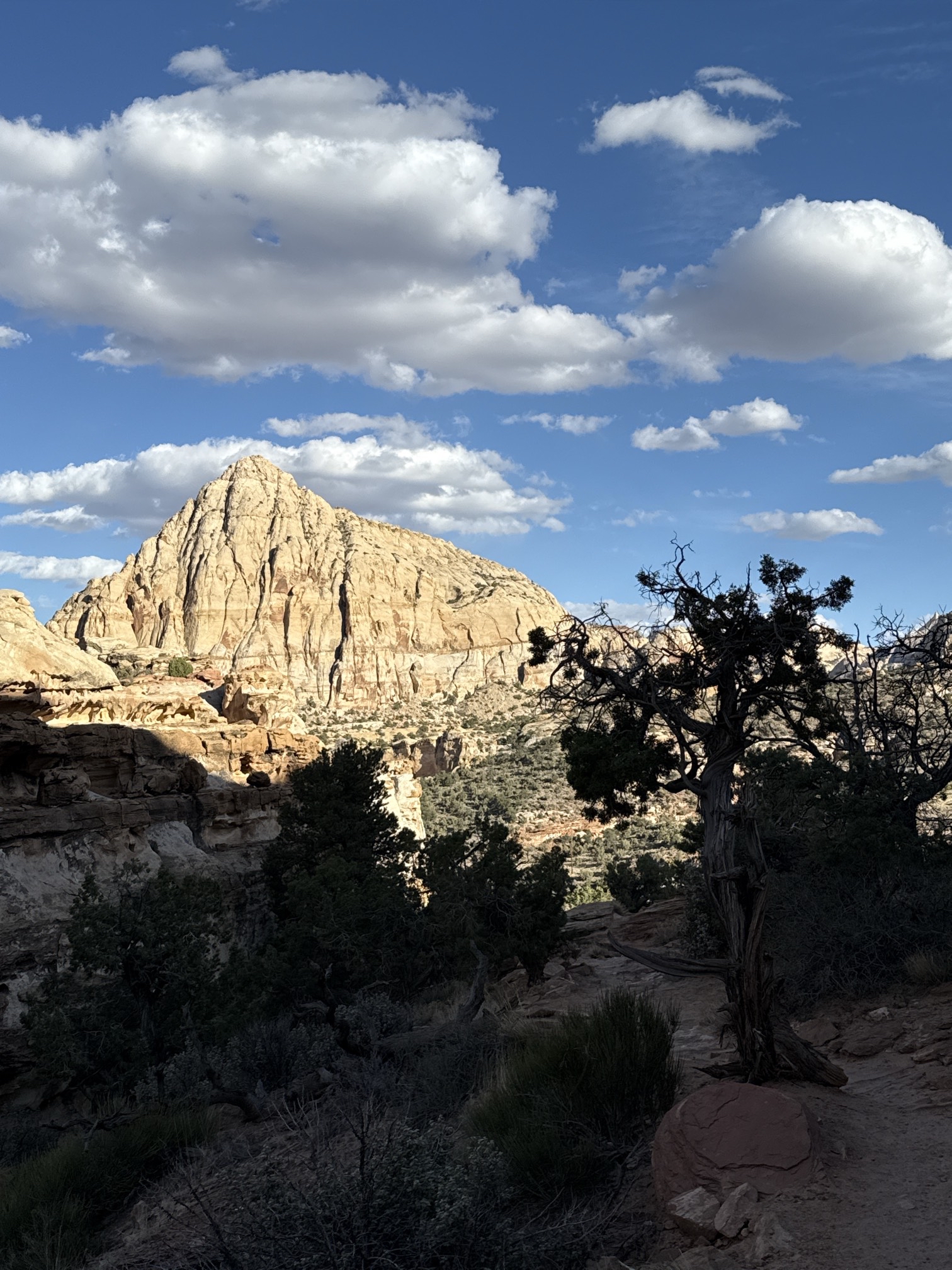 Hickman Natural Bridge Trail