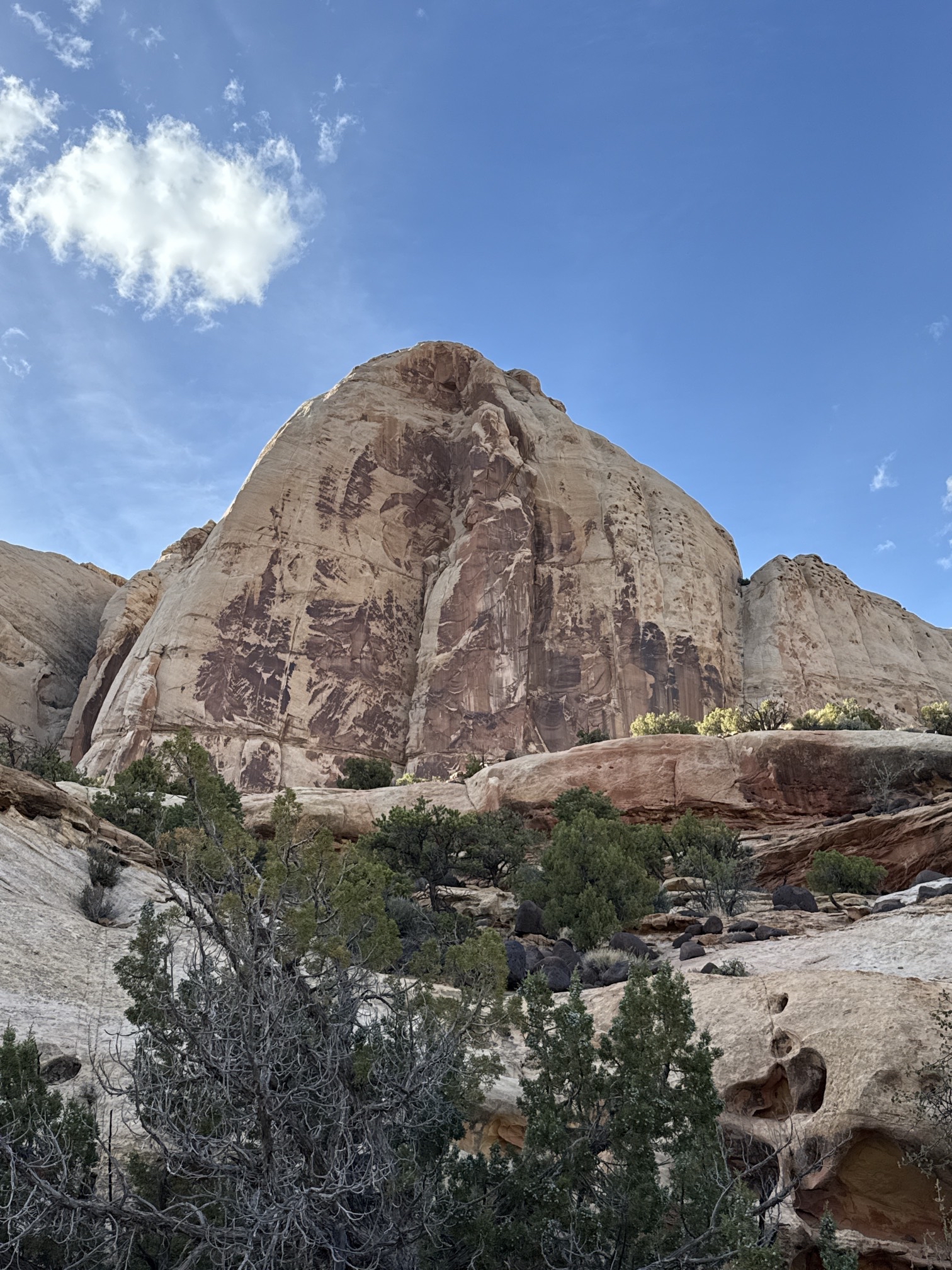 Hickman Natural Bridge Trail