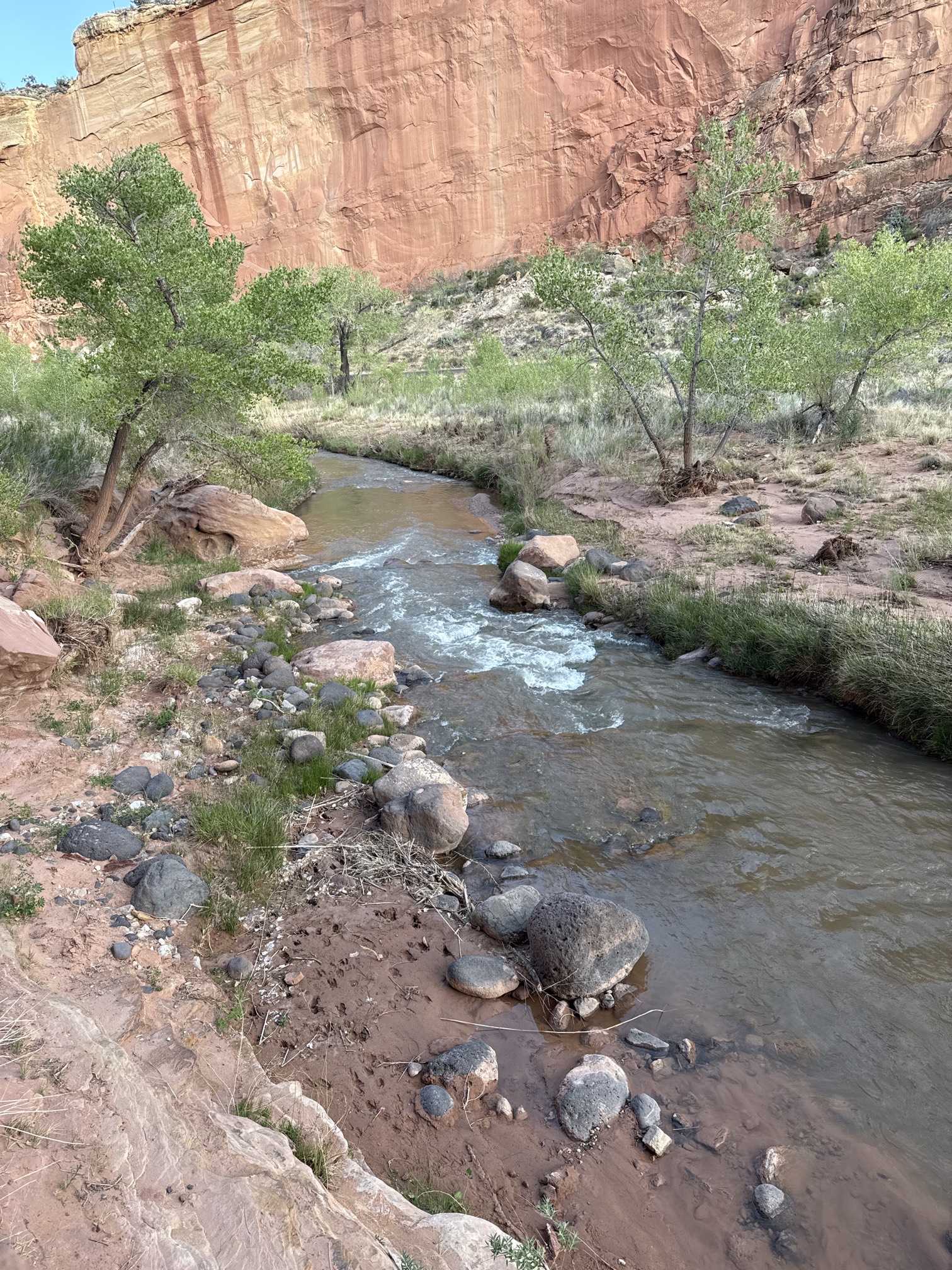 Hickman Natural Bridge Trail