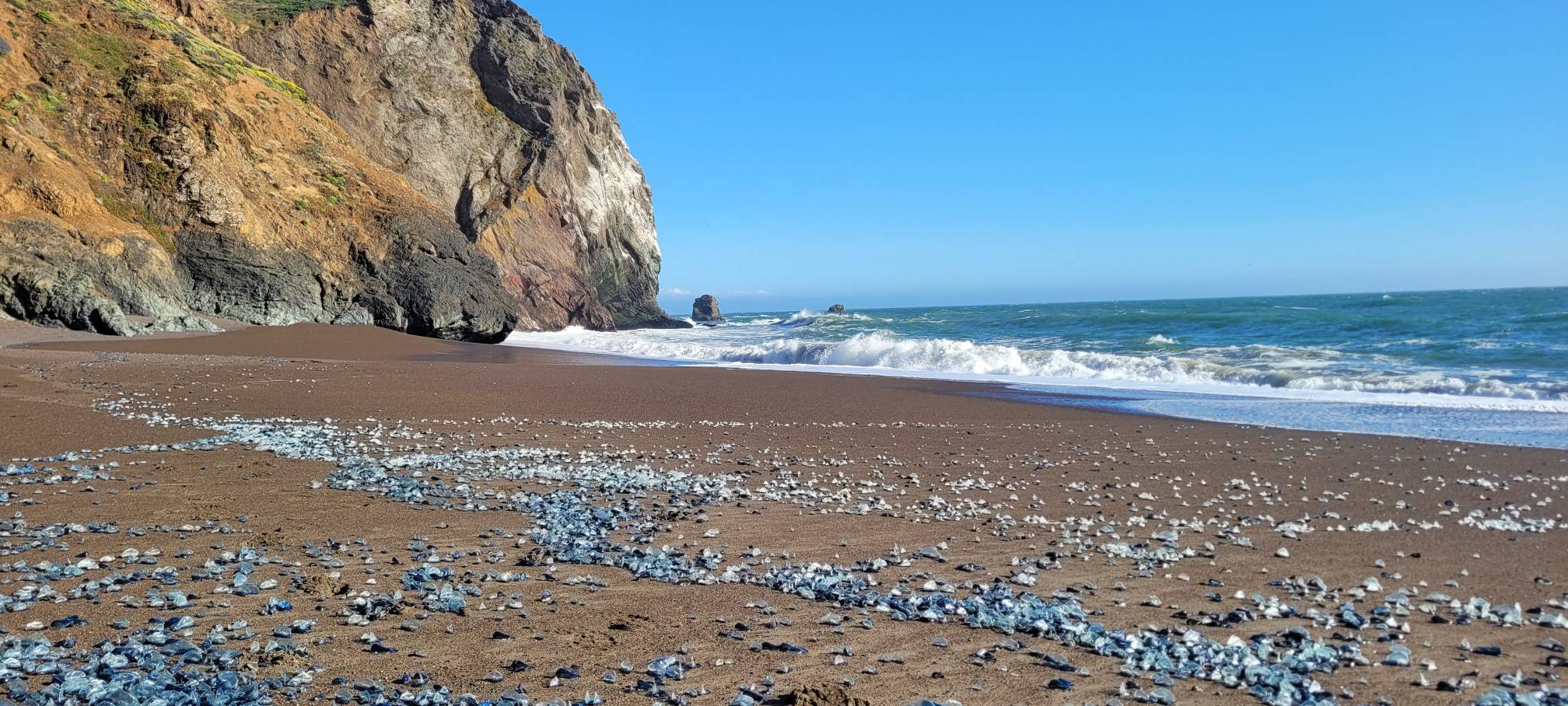 Tennessee Beach via Tennessee Valley Trail