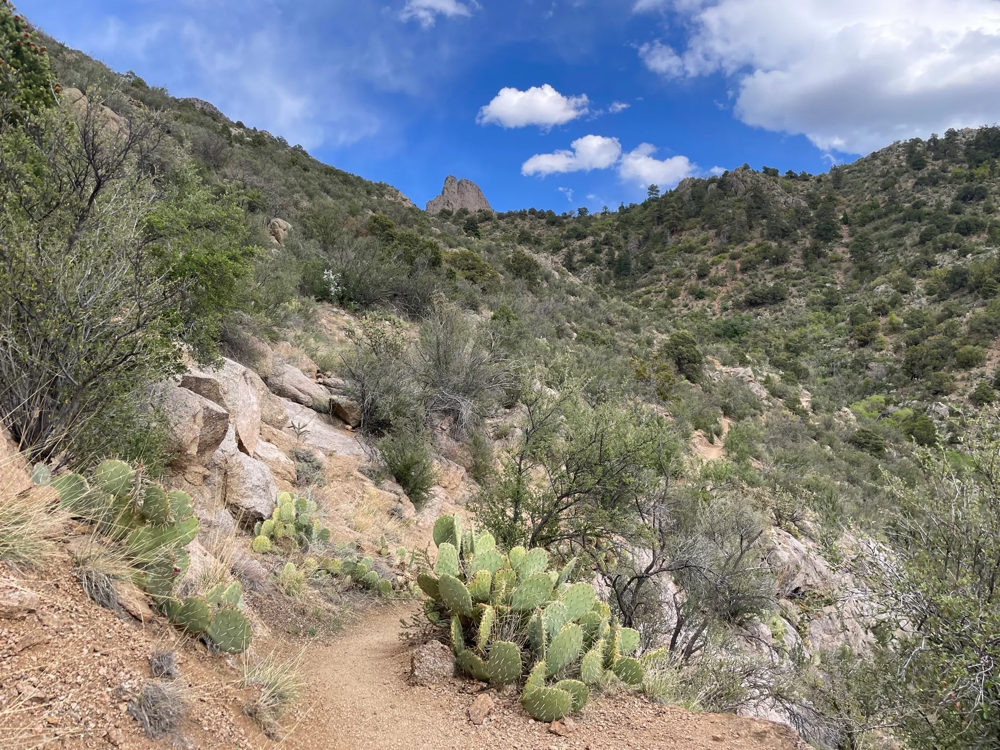 Hike La Luz Trail 