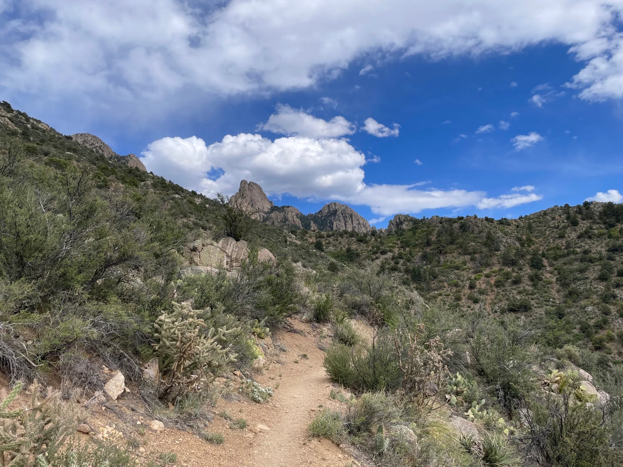 Hike La Luz Trail 