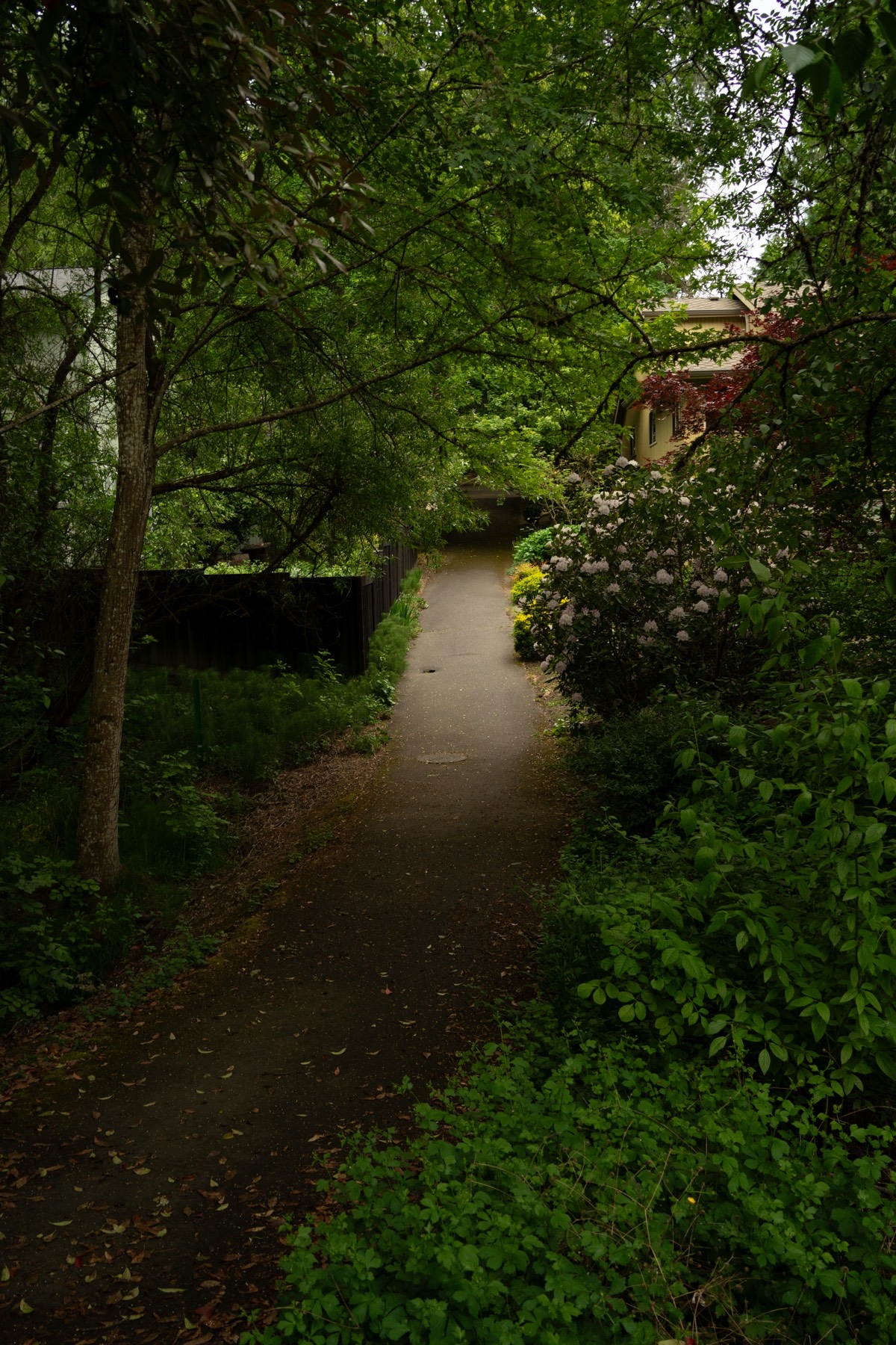 Pathfinder Genesis Trail
