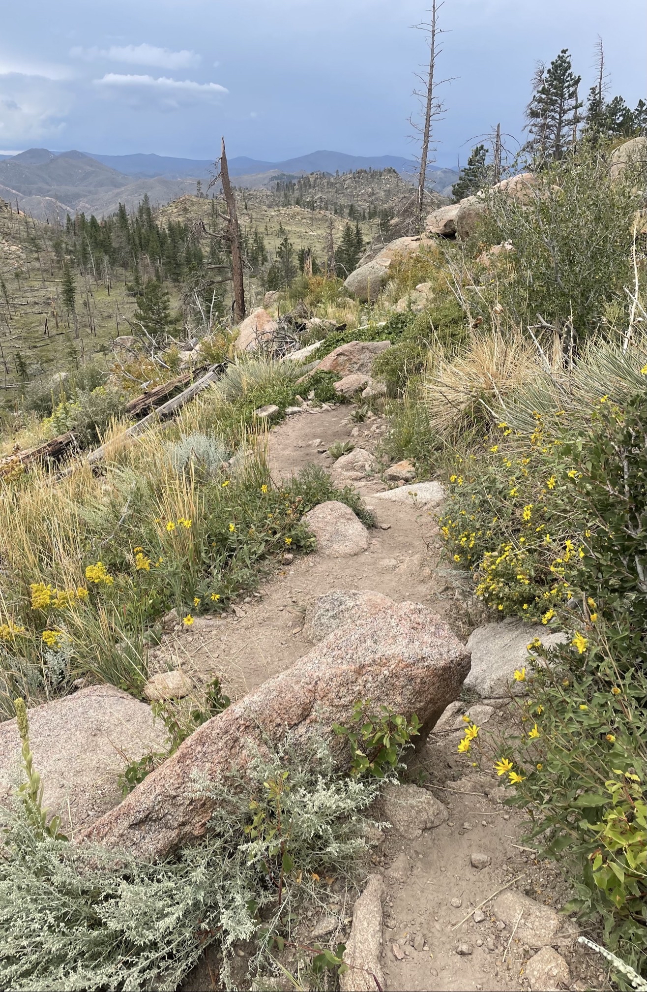 Climb Greyrock Mountain