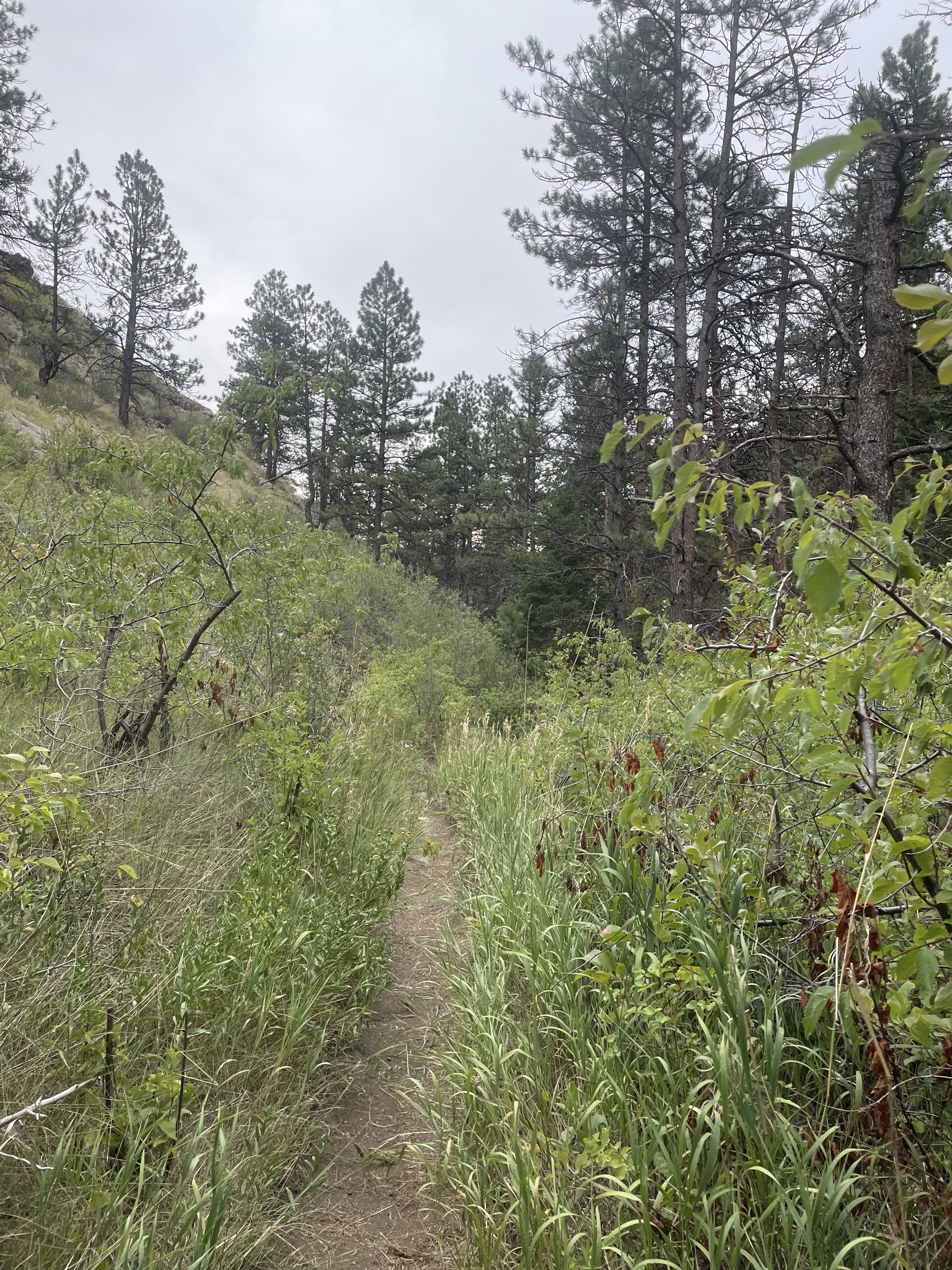 Climb Greyrock Mountain